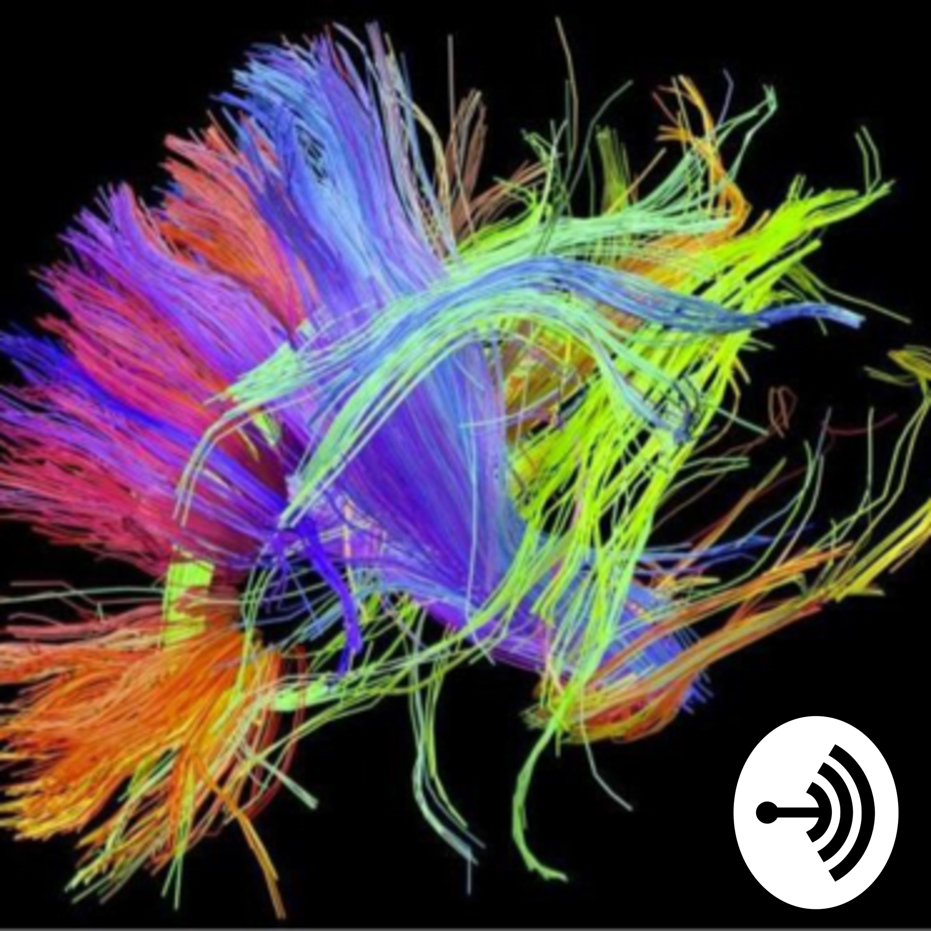Networks: Art and Science of Creativity, a Neurophilosophical account. 