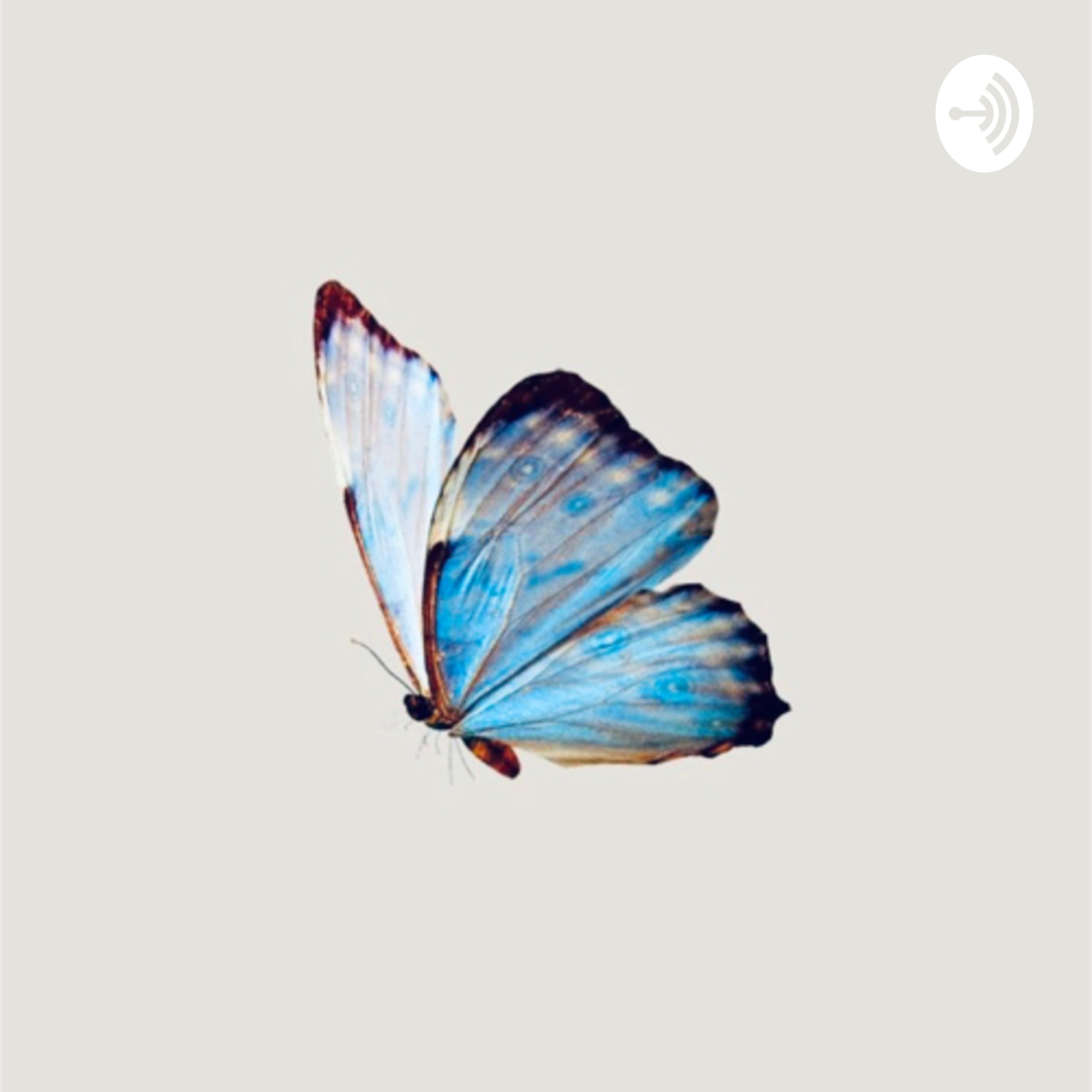 The Butterfly Effect