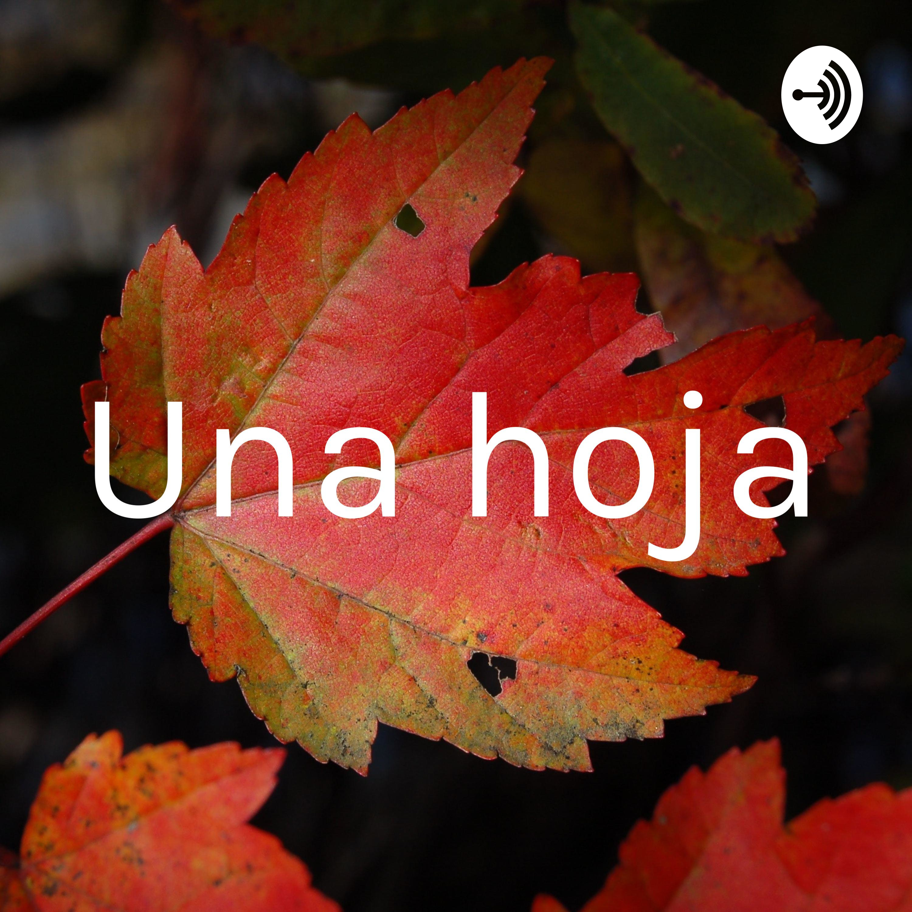 Una hoja