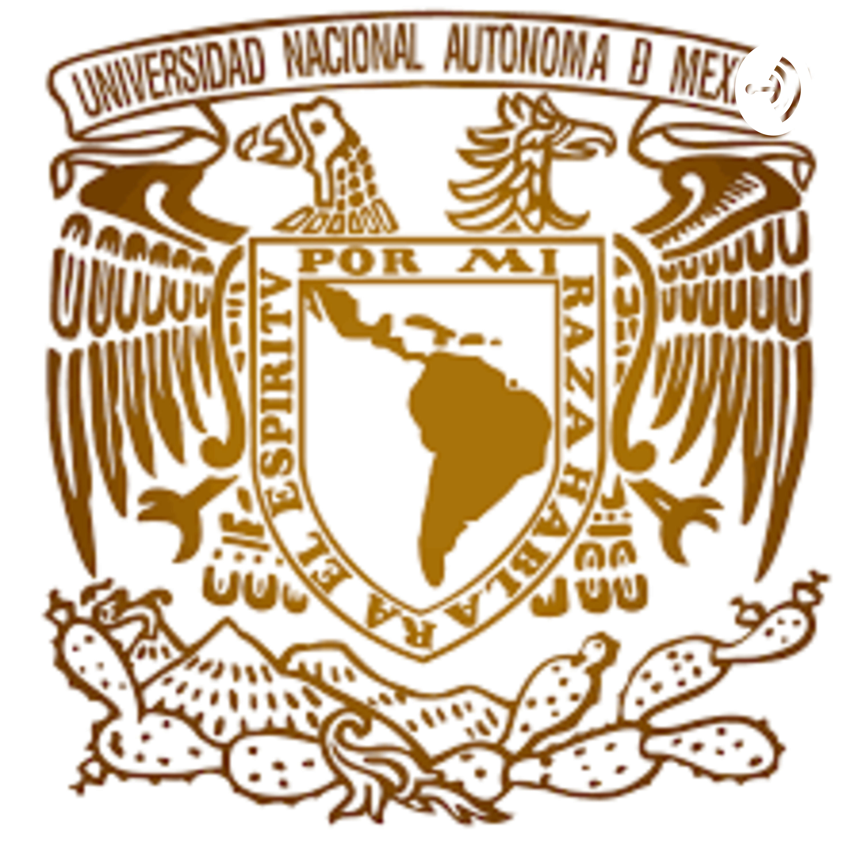 México Solidario Covid-19