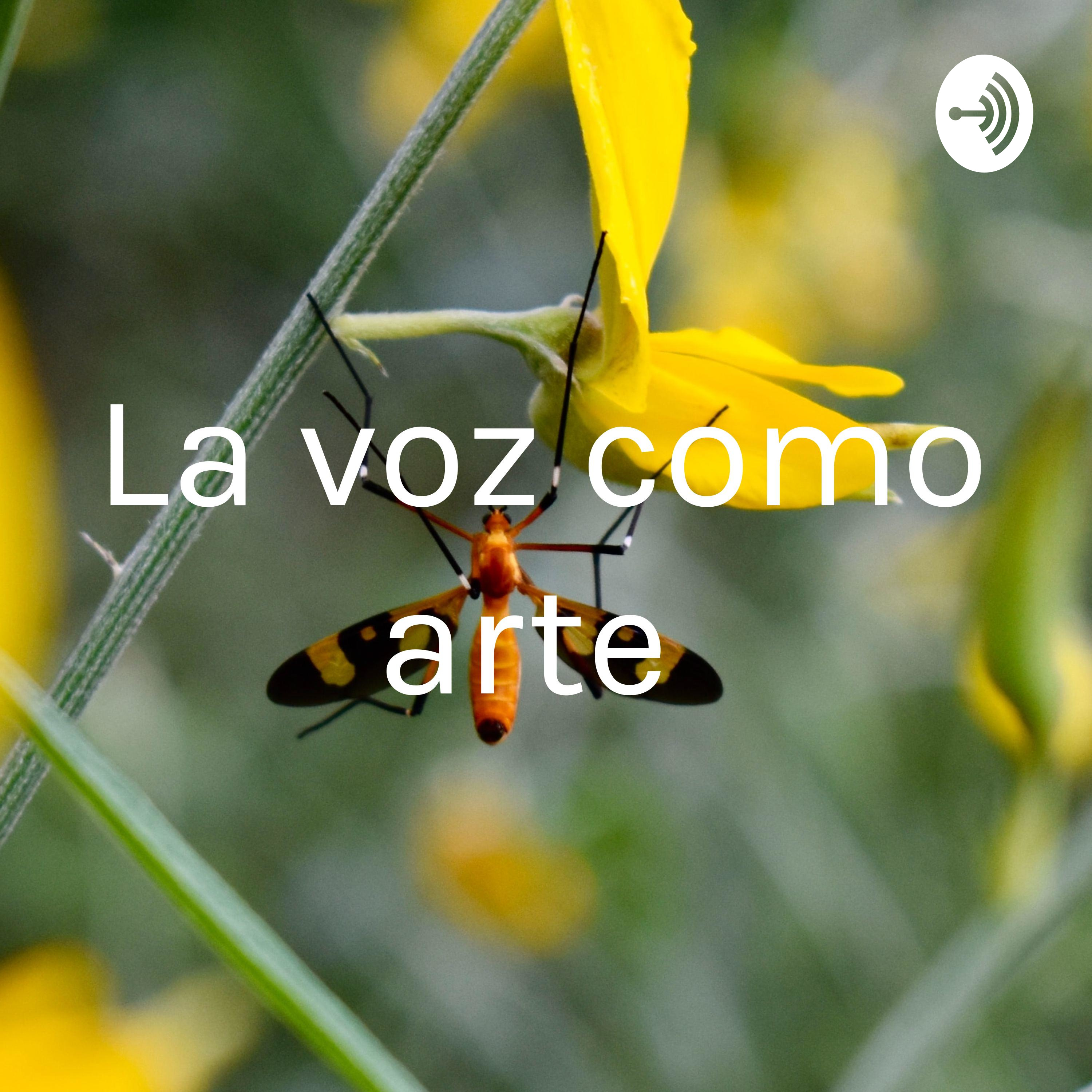 La voz como arte 