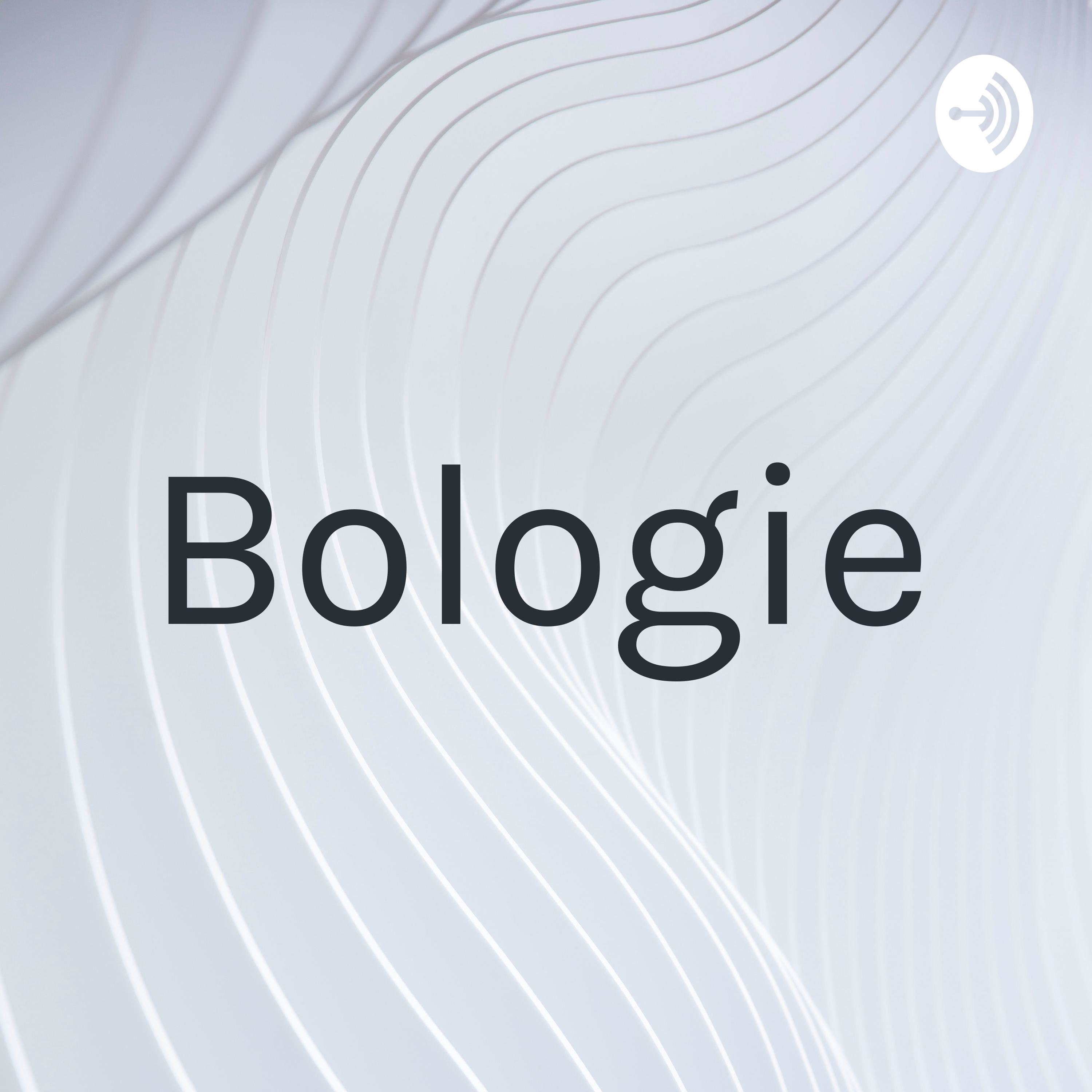 Bologie podcast artwork