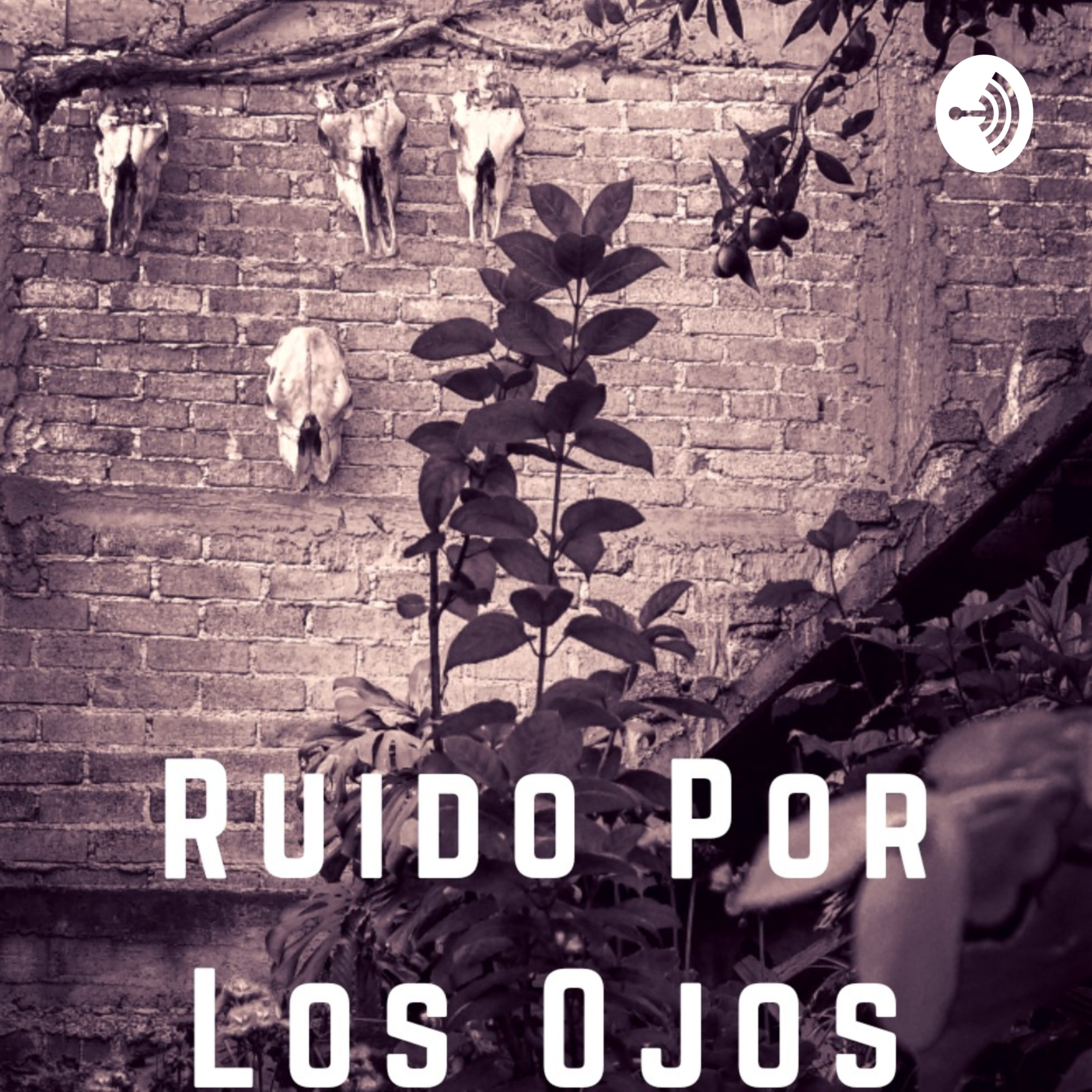 Ruido Por Los Ojos