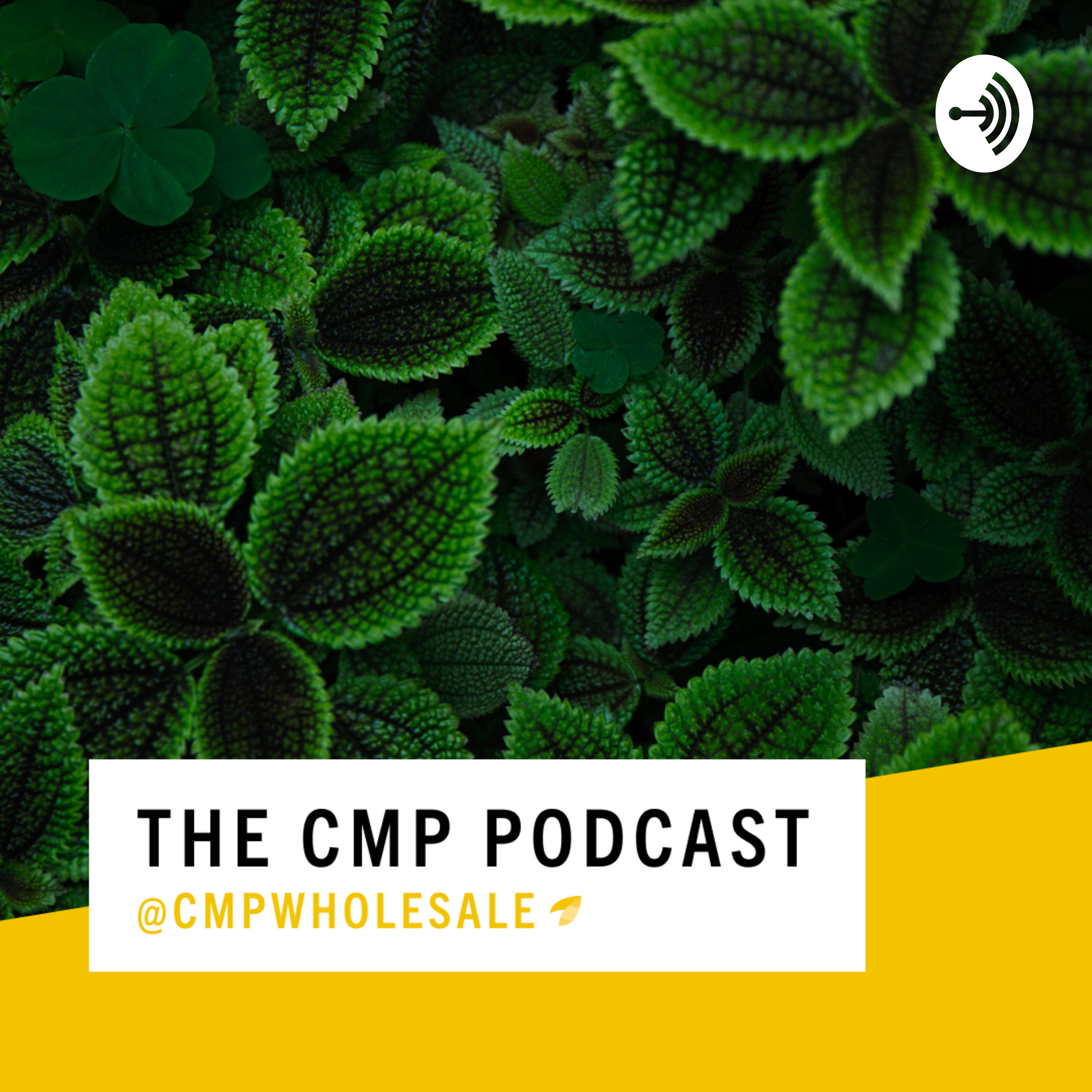 The CMP Podcast