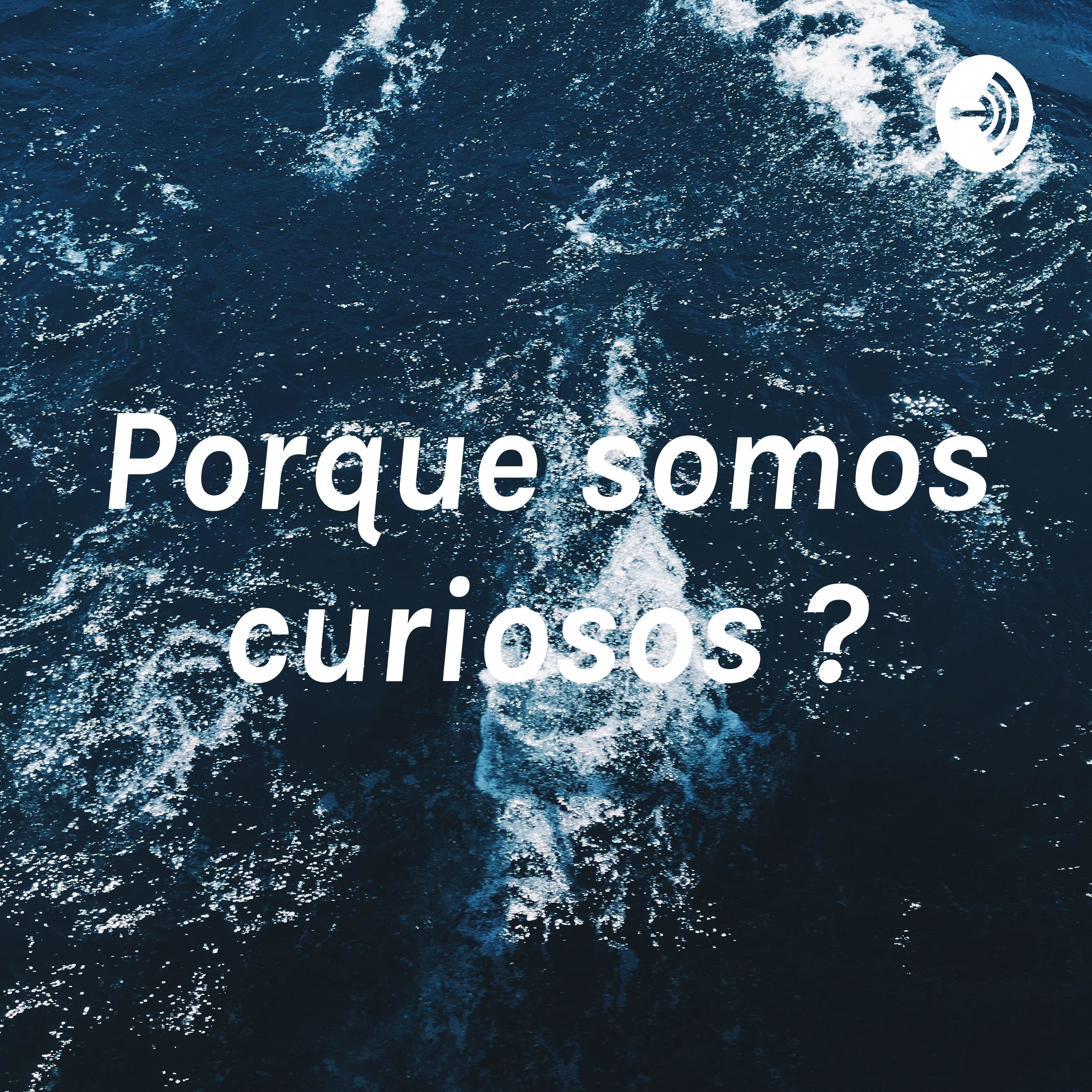 Porque somos curiosos ?