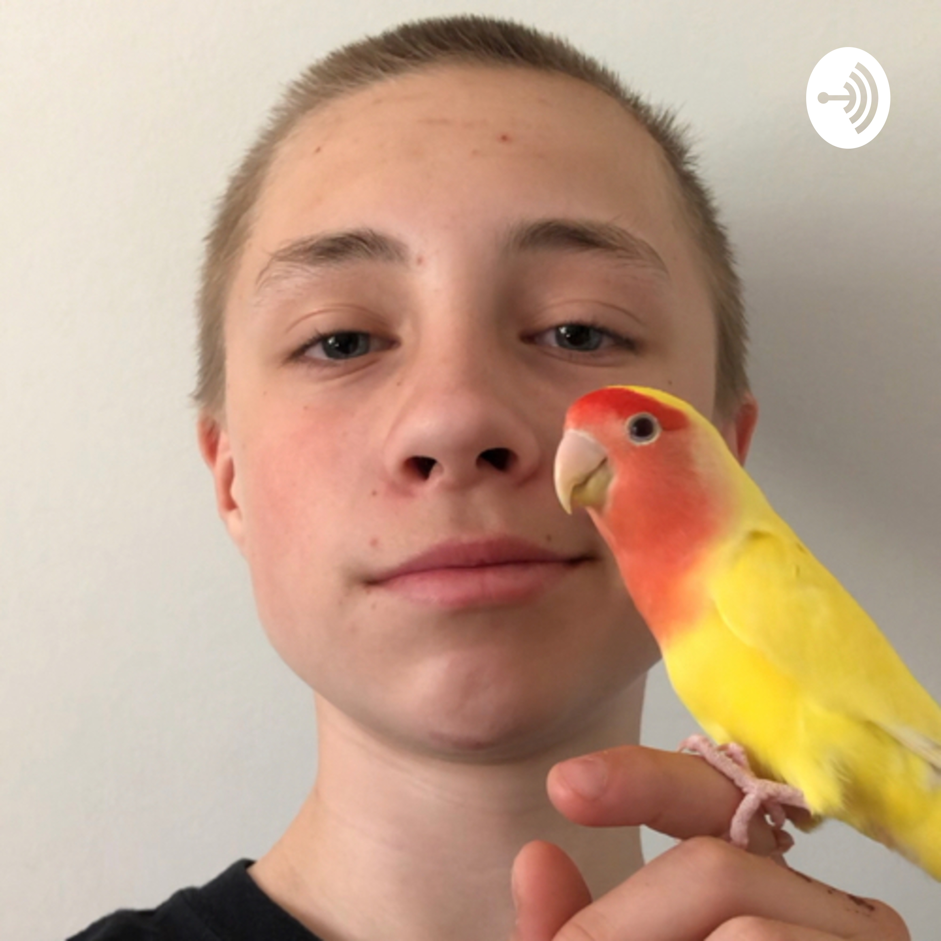 Noah Toksvig af Noah