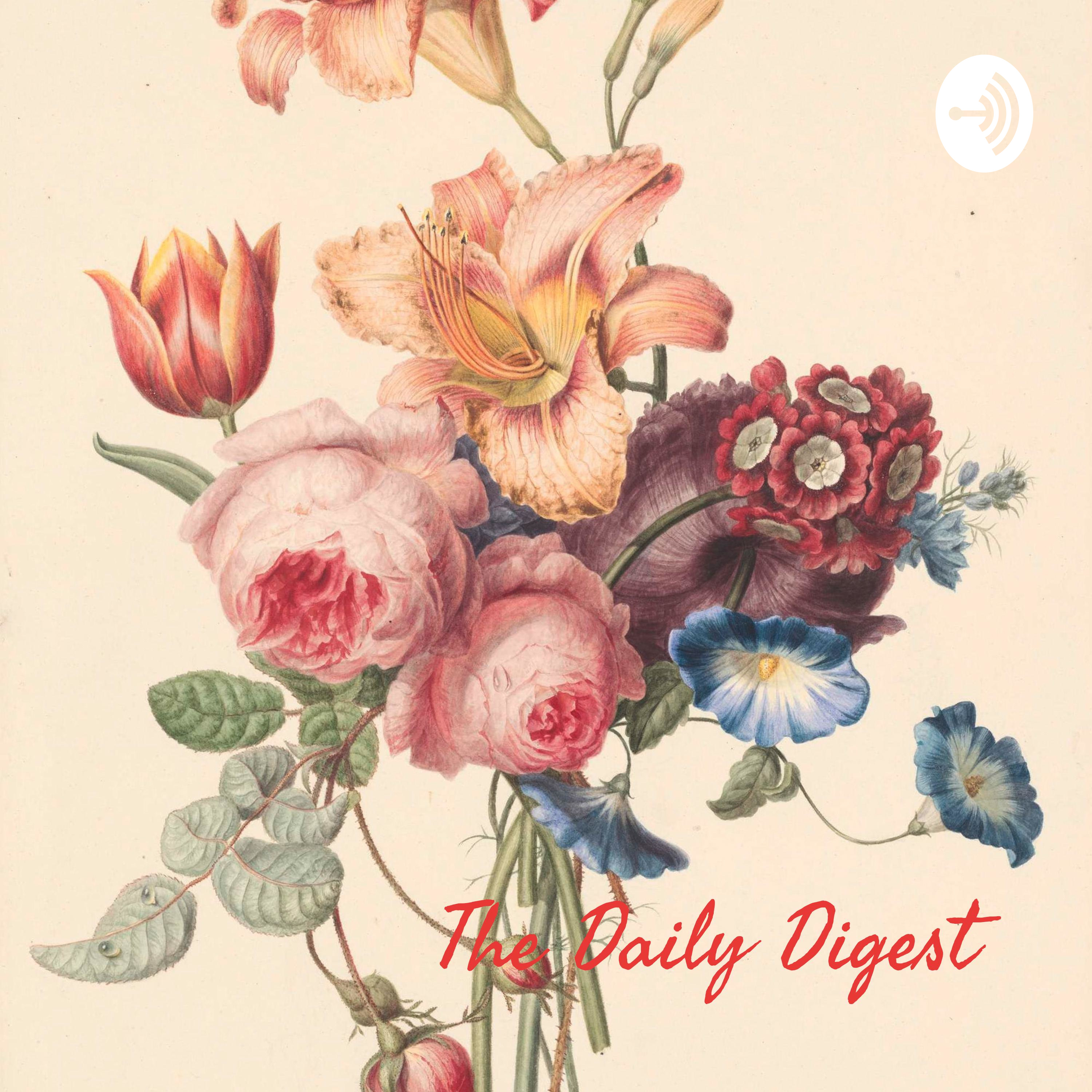 The Daily Digest: A Javanese Woman\'s Perspective Of Life