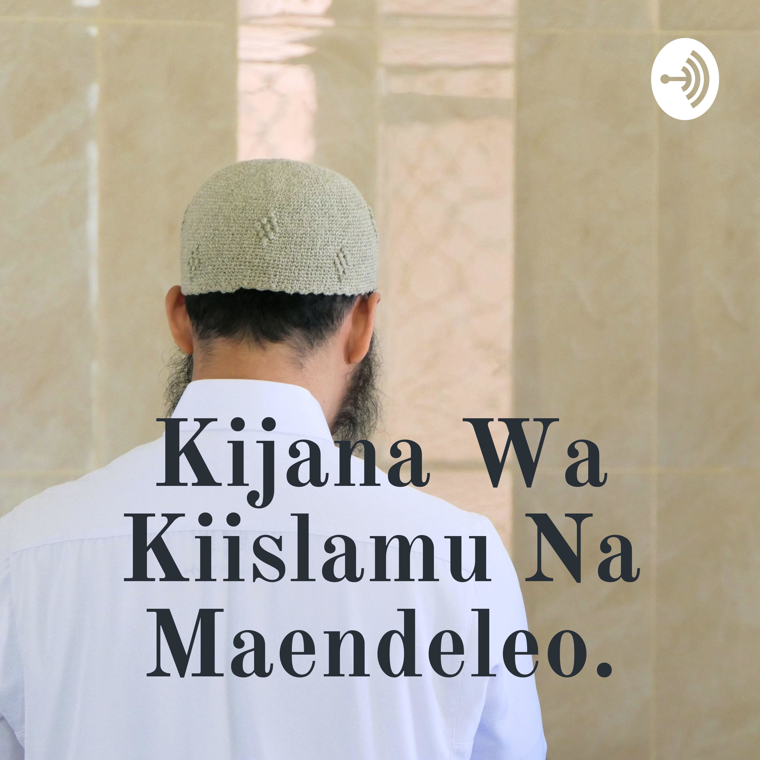 Kijana Wa Kiislamu Na Maendeleo. cover