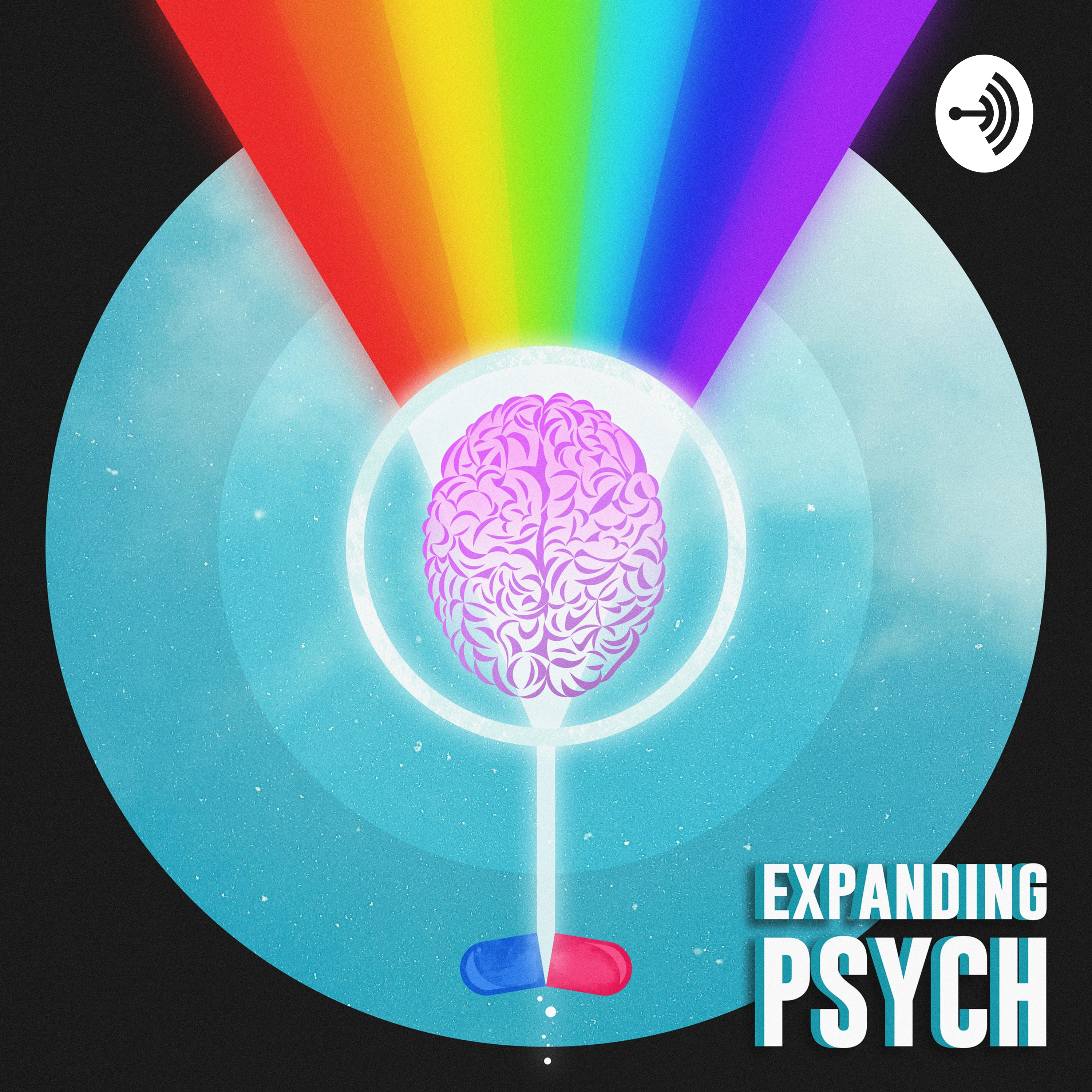 Episode 5: LSD Across the Decades