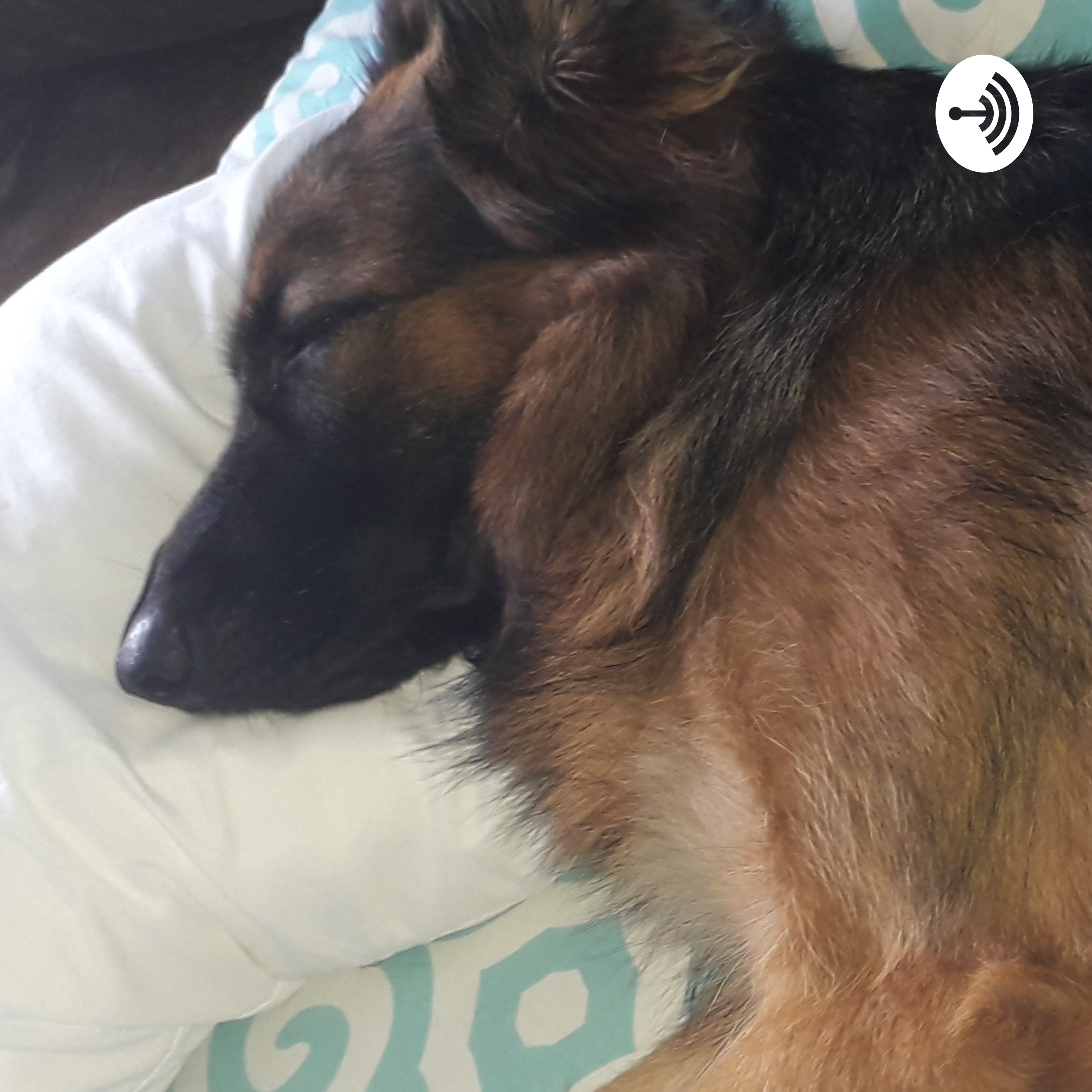 ¿Religión O discriminación?2