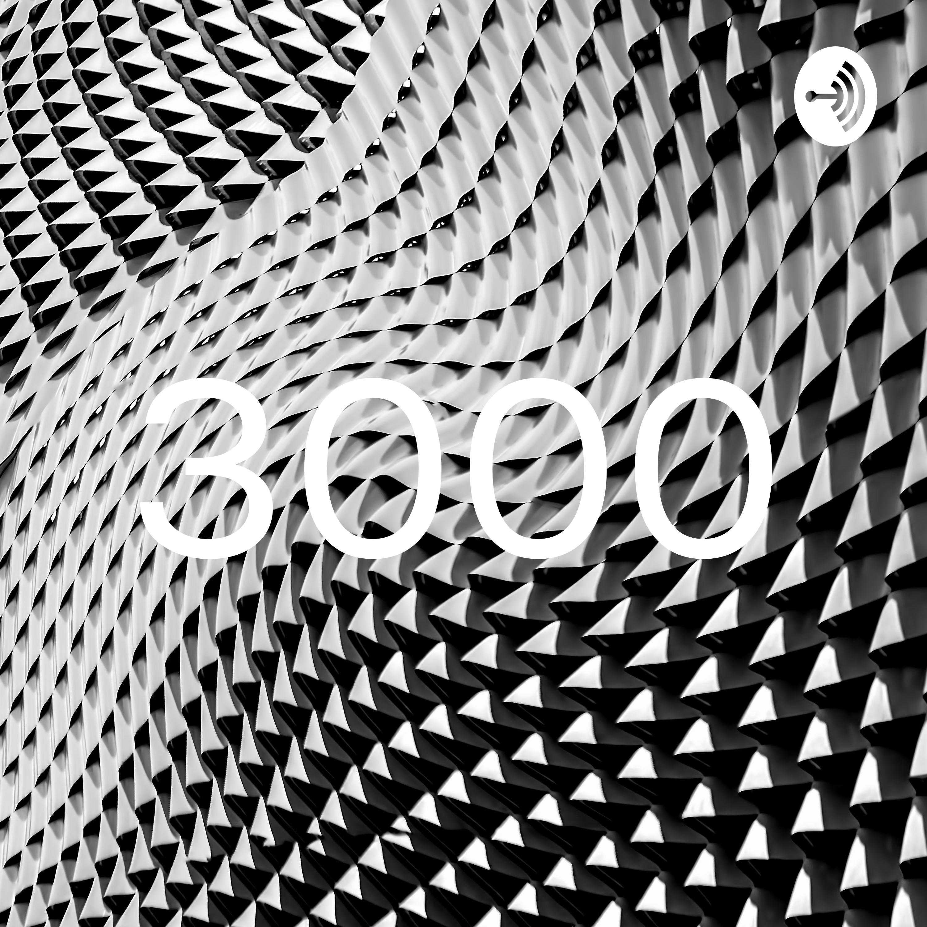 3000