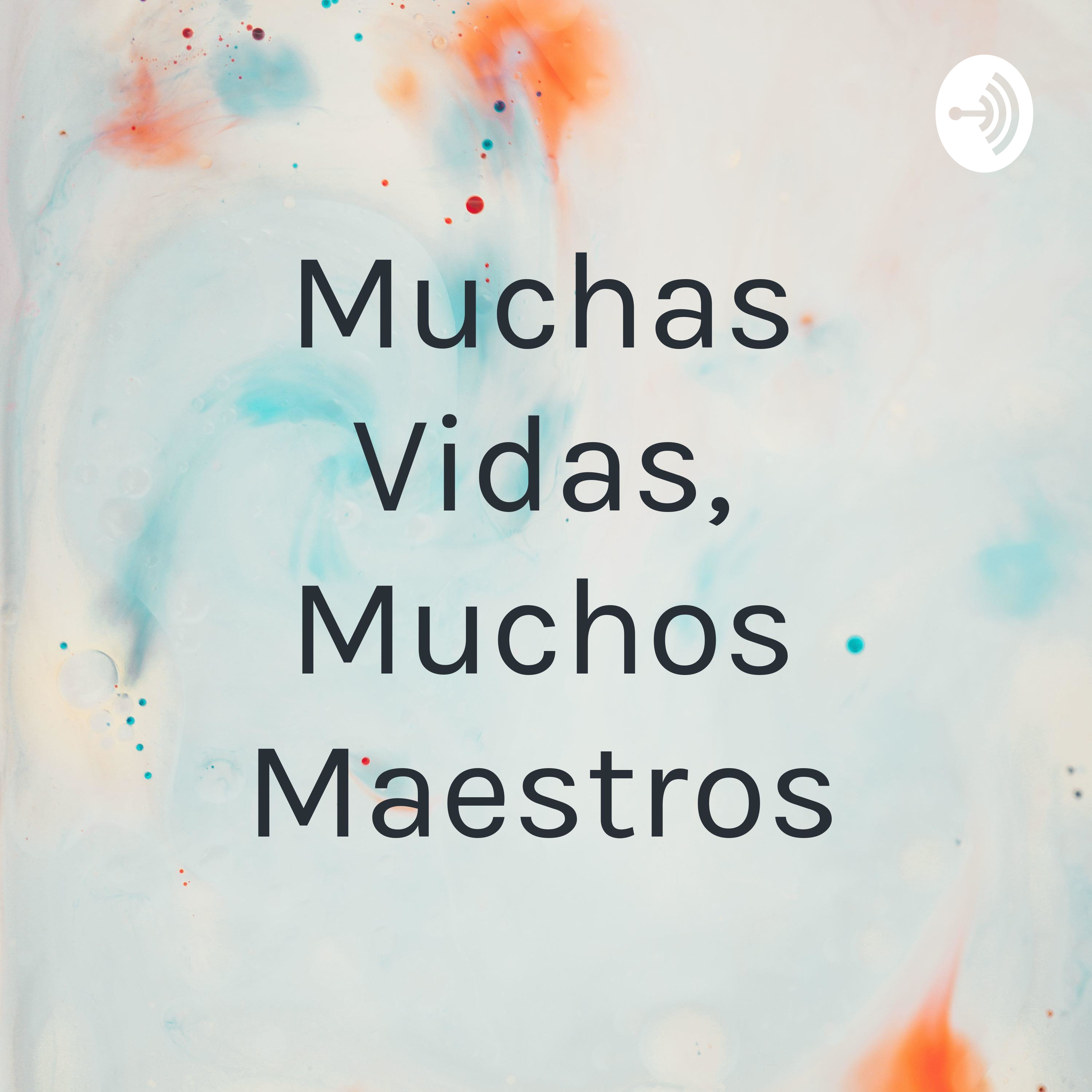 Muchas Vidas, Muchos Maestros