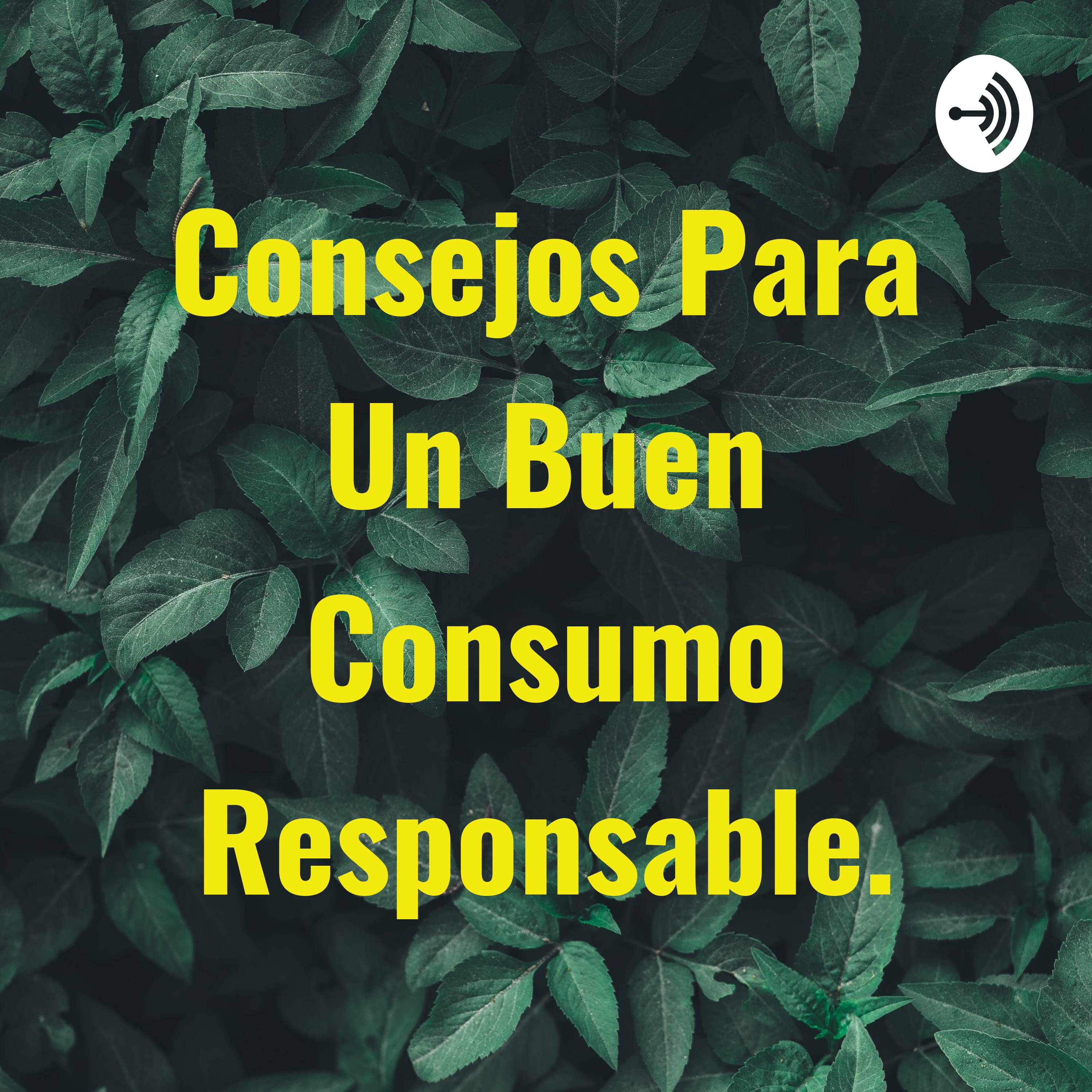 Consejos Para Un Buen Consumo Responsable.