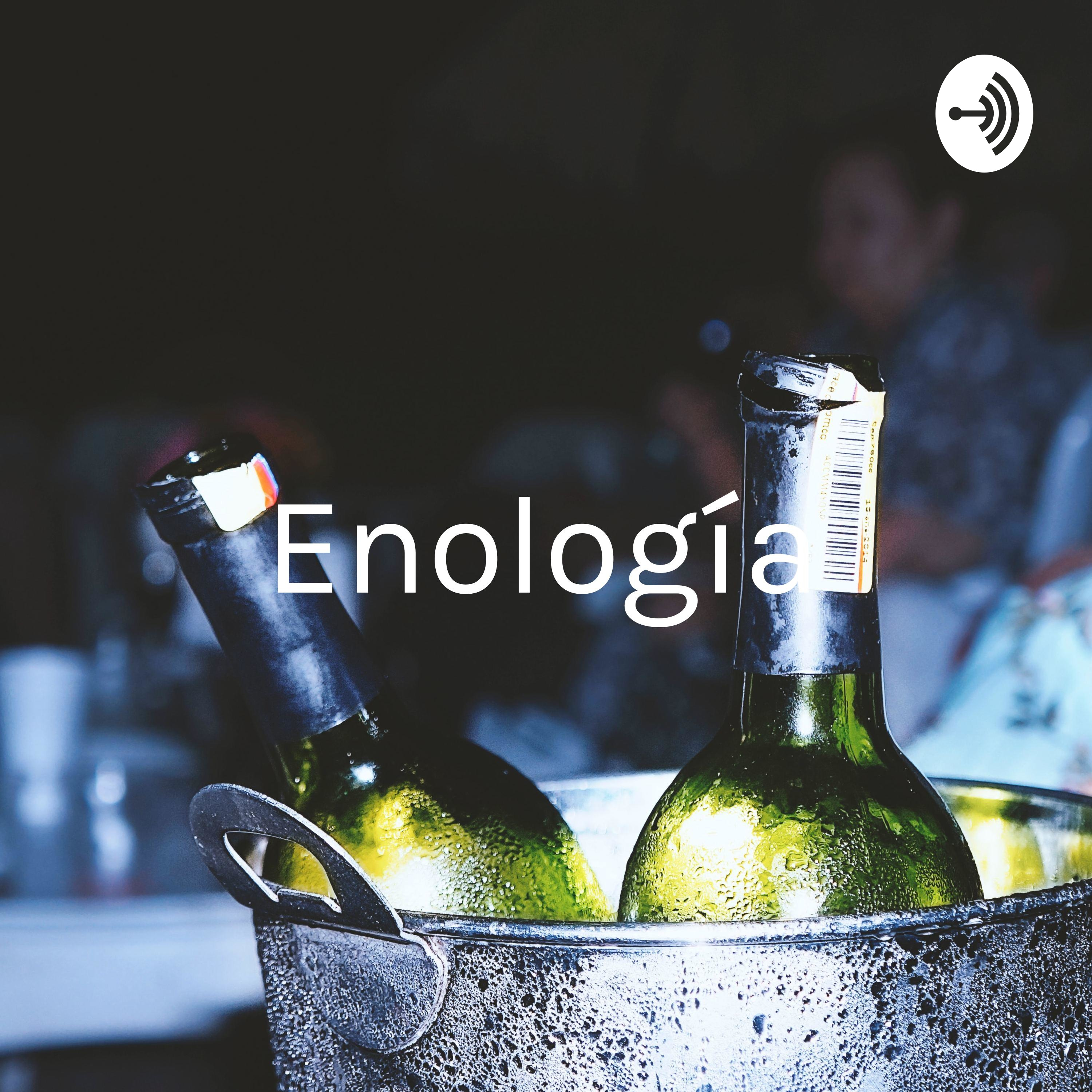 Enología - Vinos Especiales 