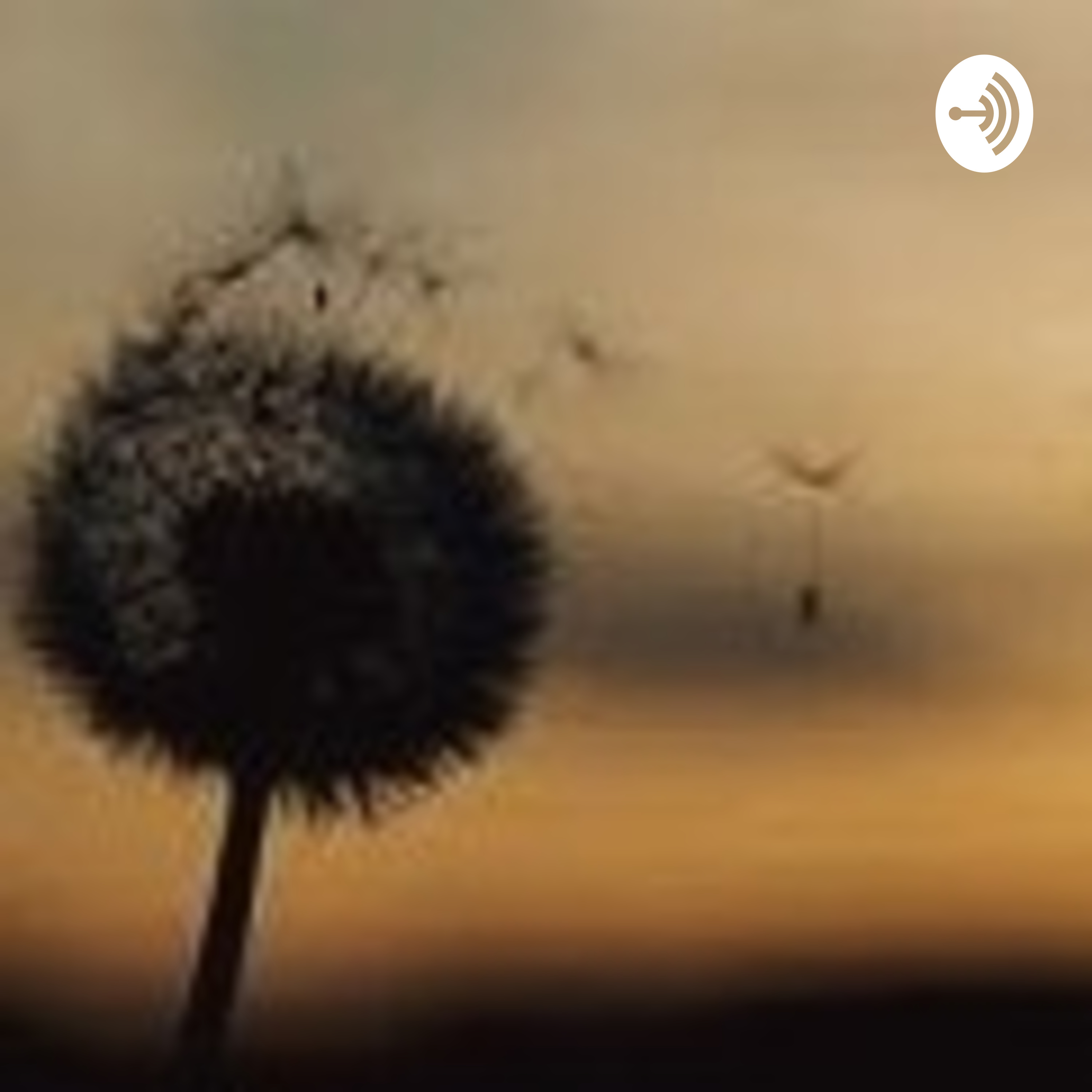 Dandelion podcast artwork