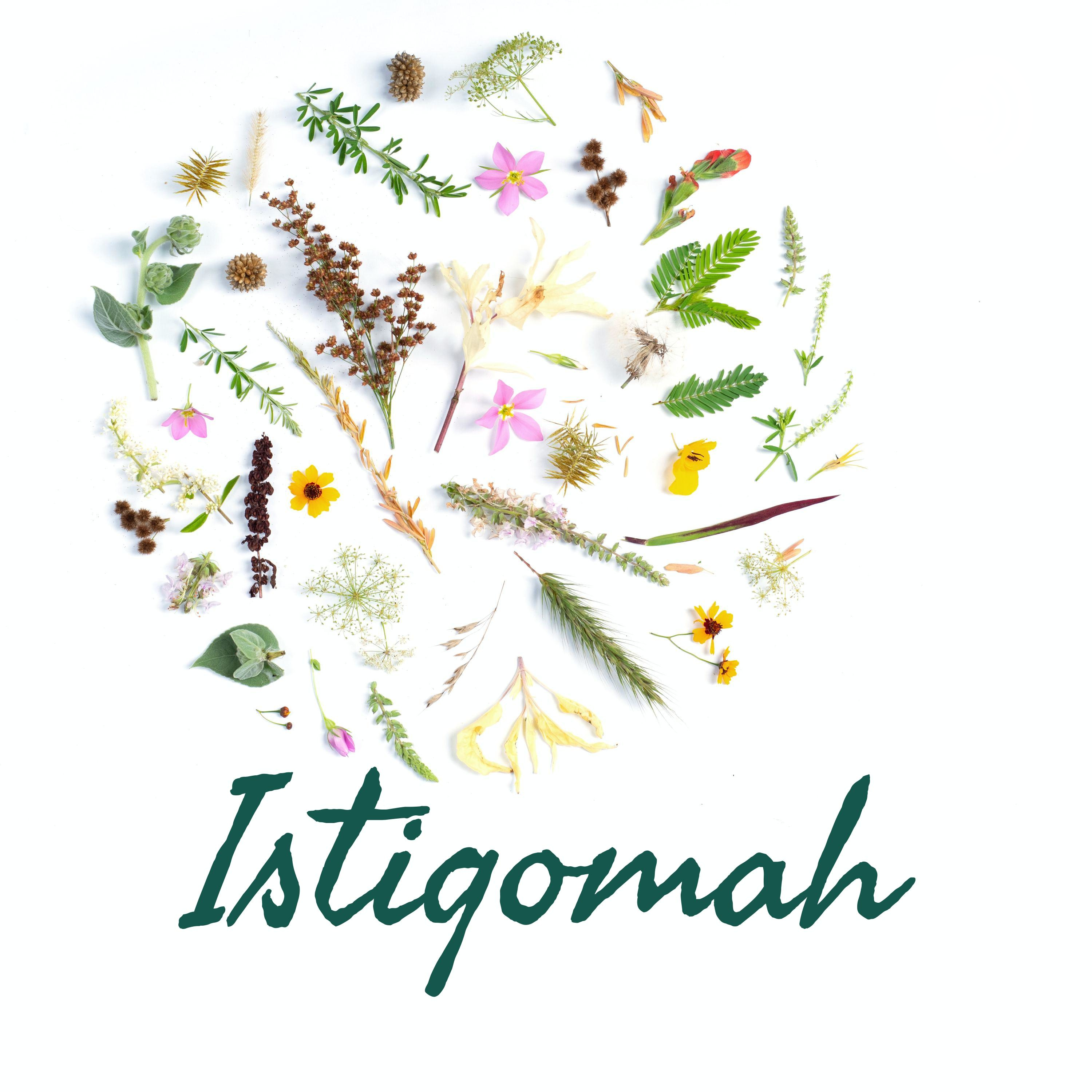 Istiqomah cover