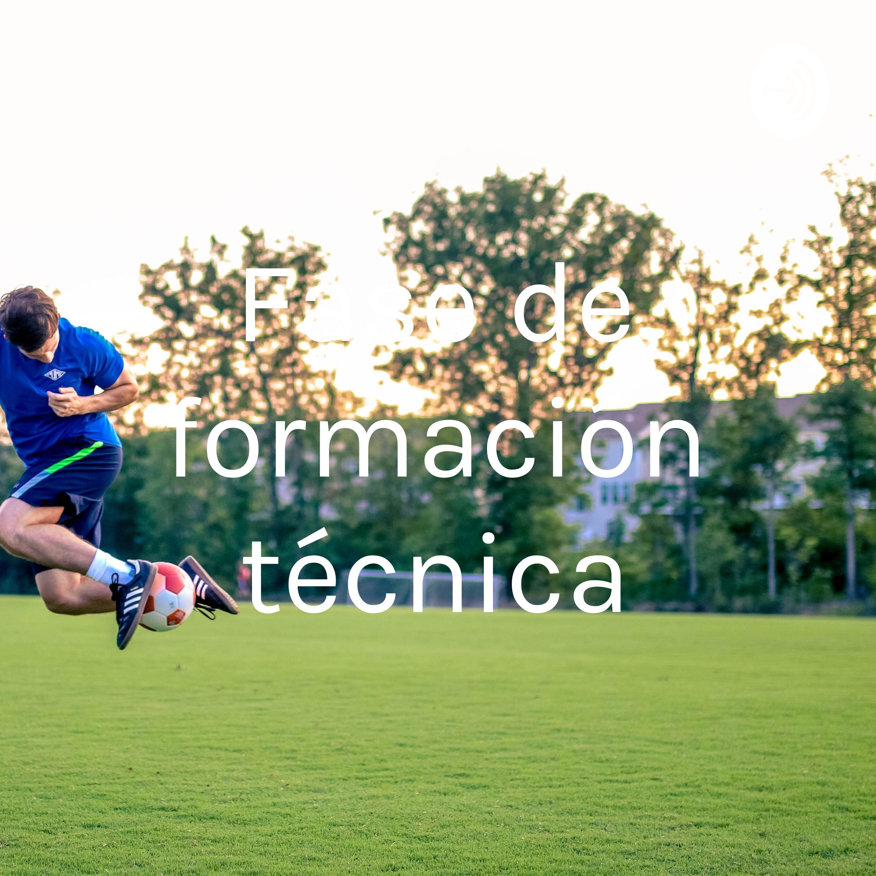 Fase de formación técnica