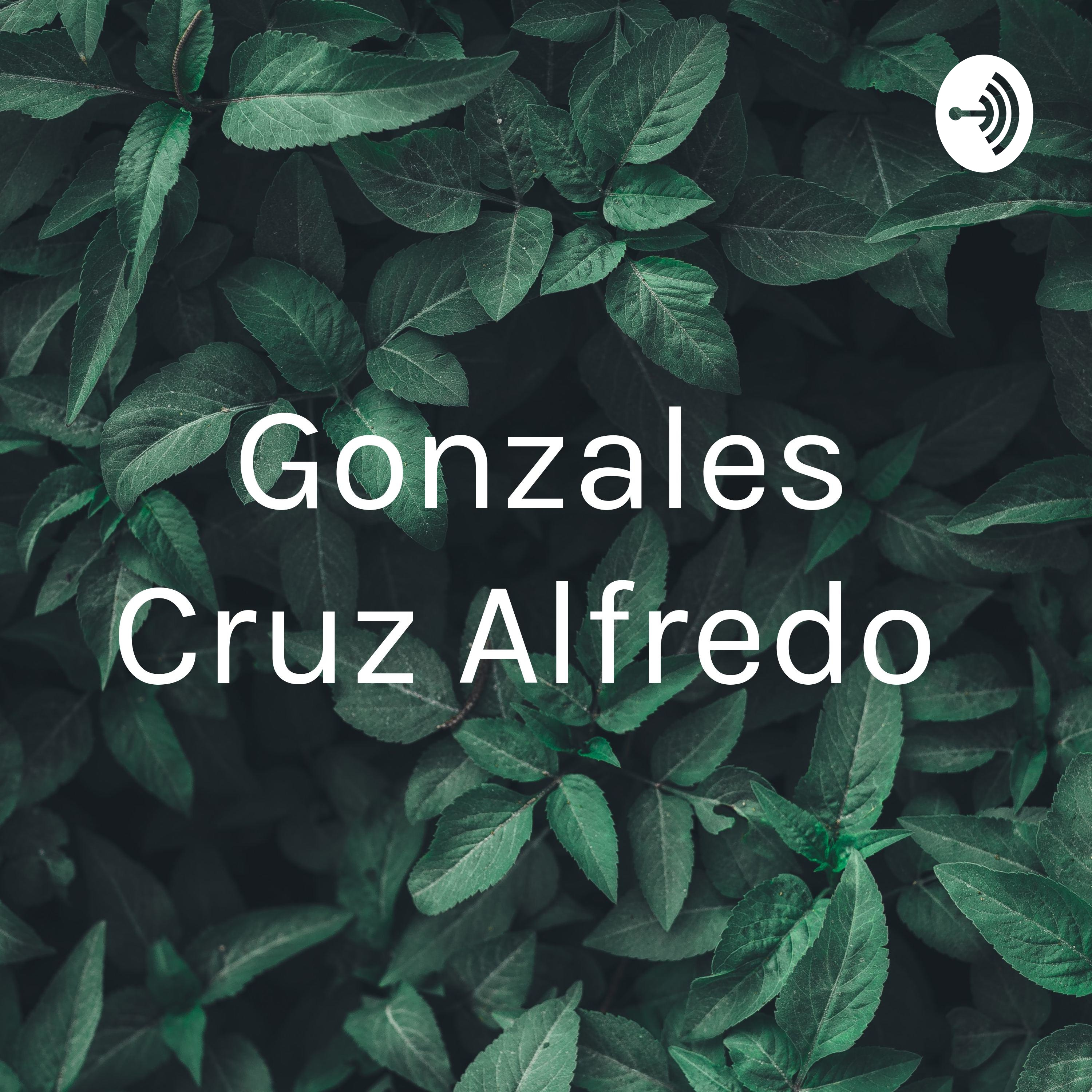 Gonzales Cruz Alfredo