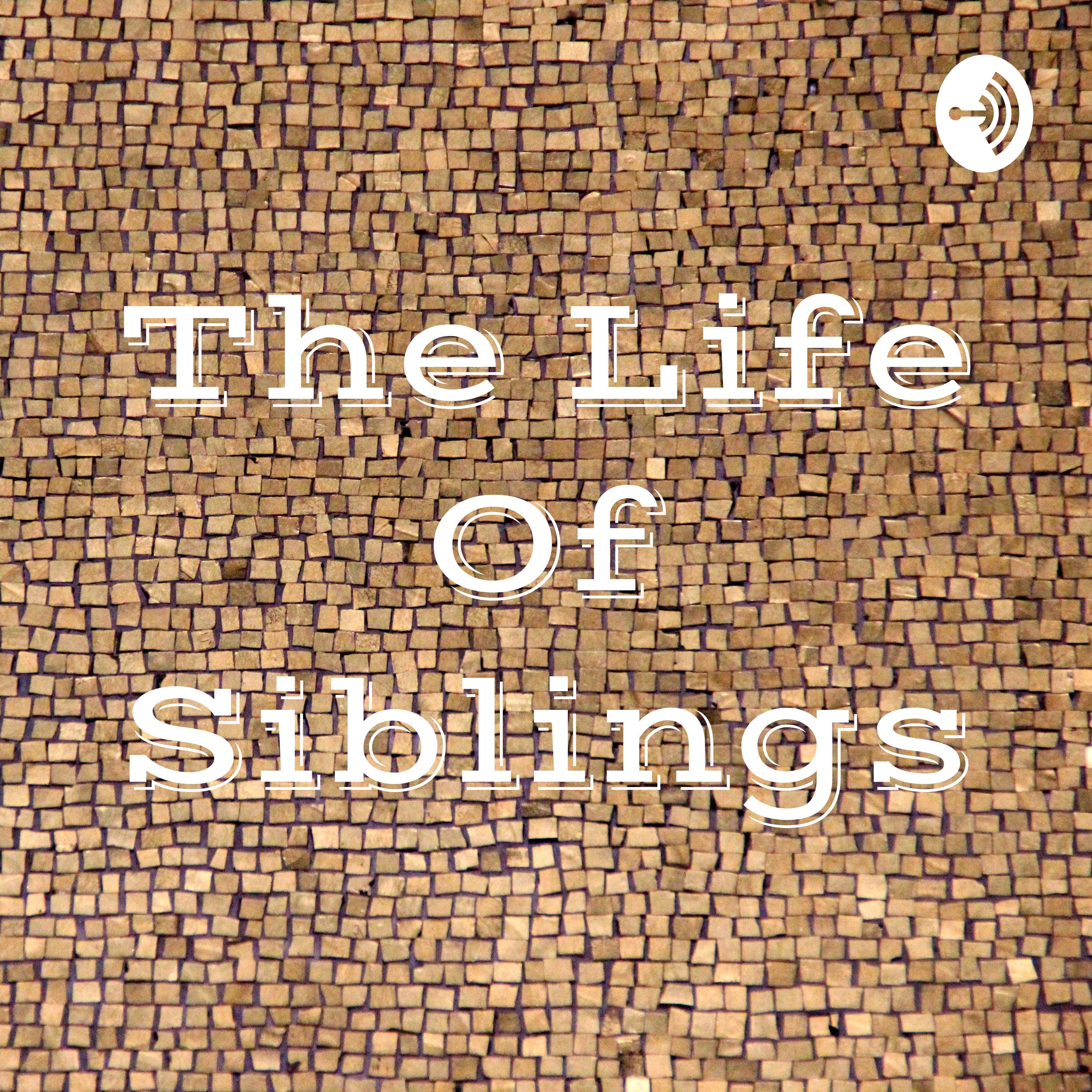 The Life Of Siblings