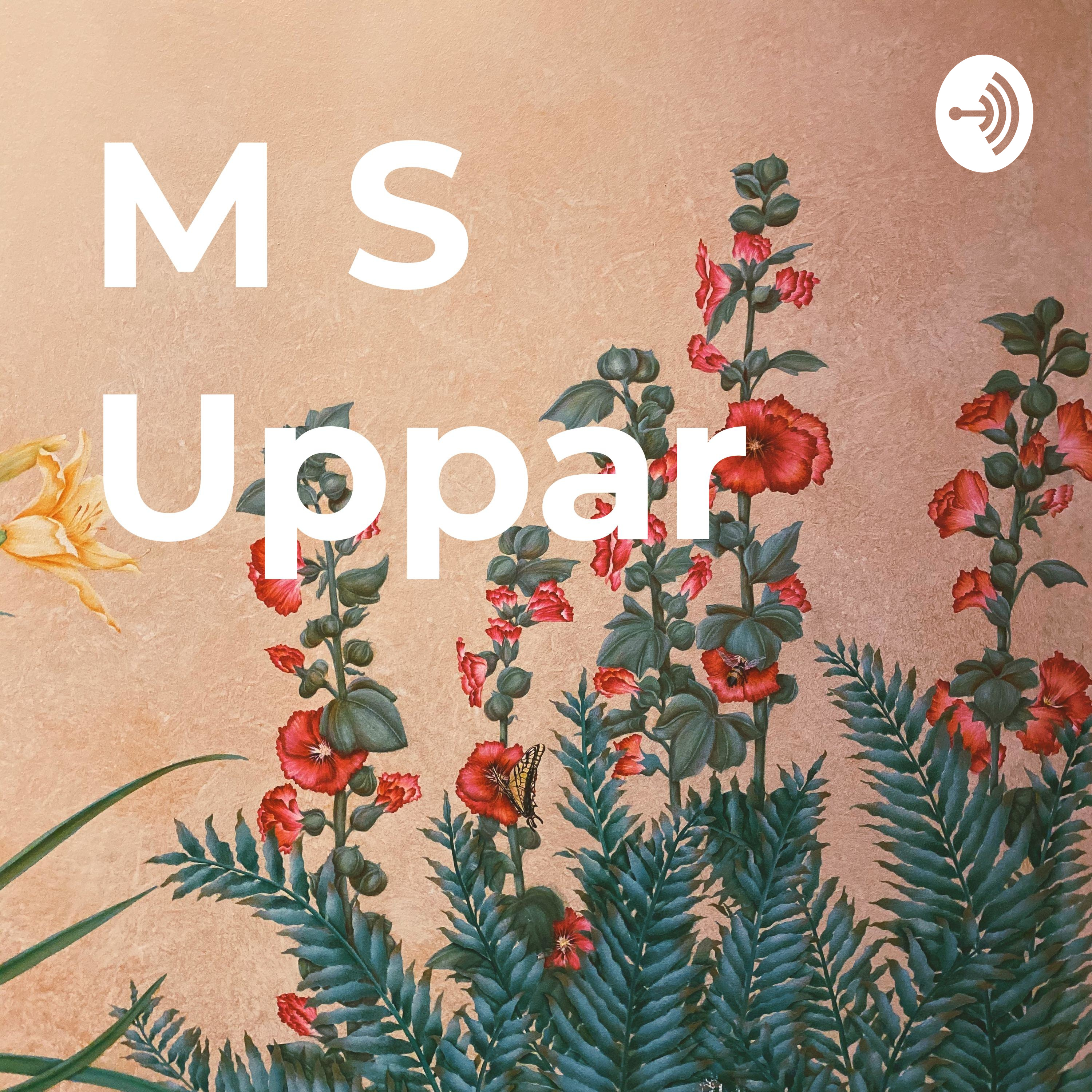 M S Uppar
