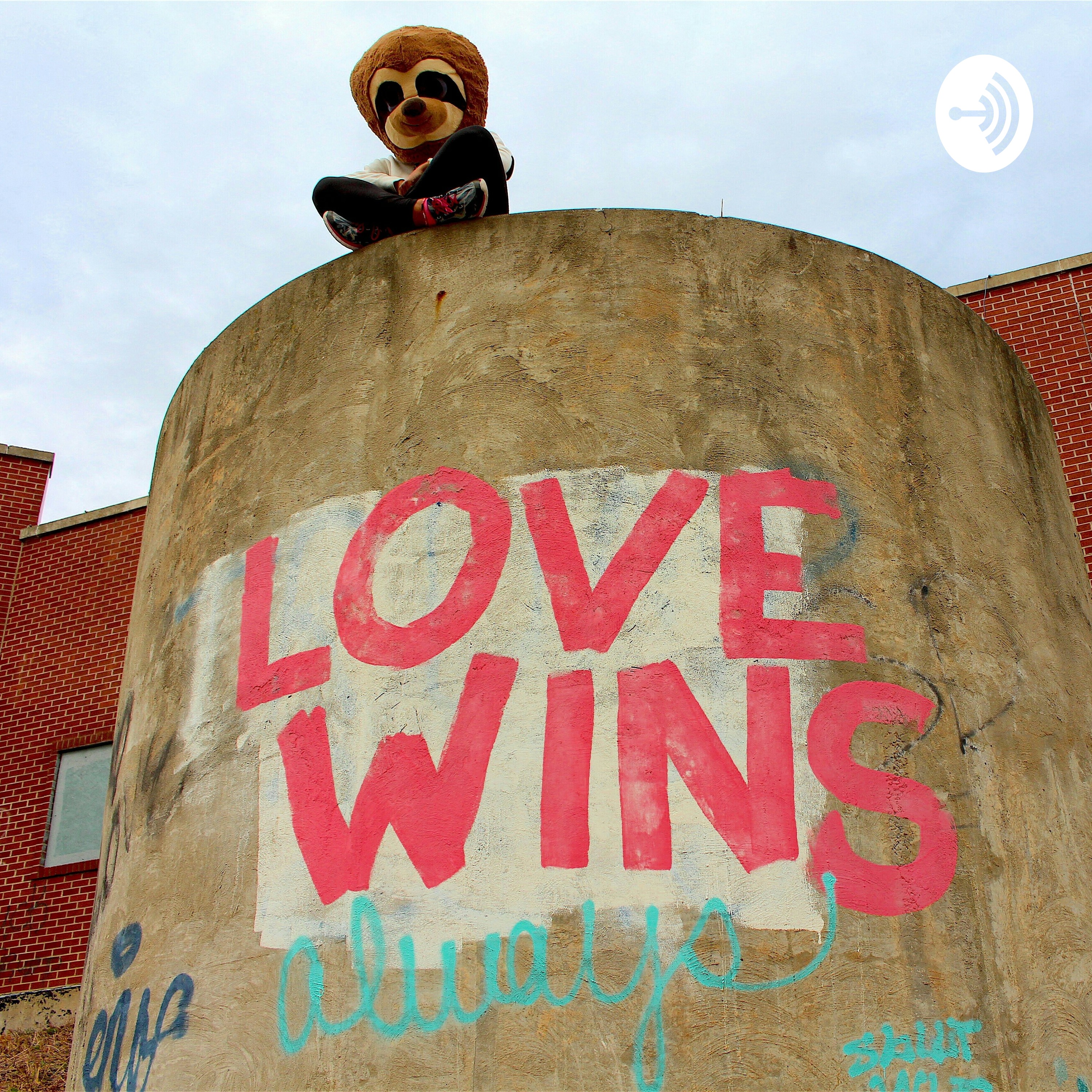 The Sexual Experience