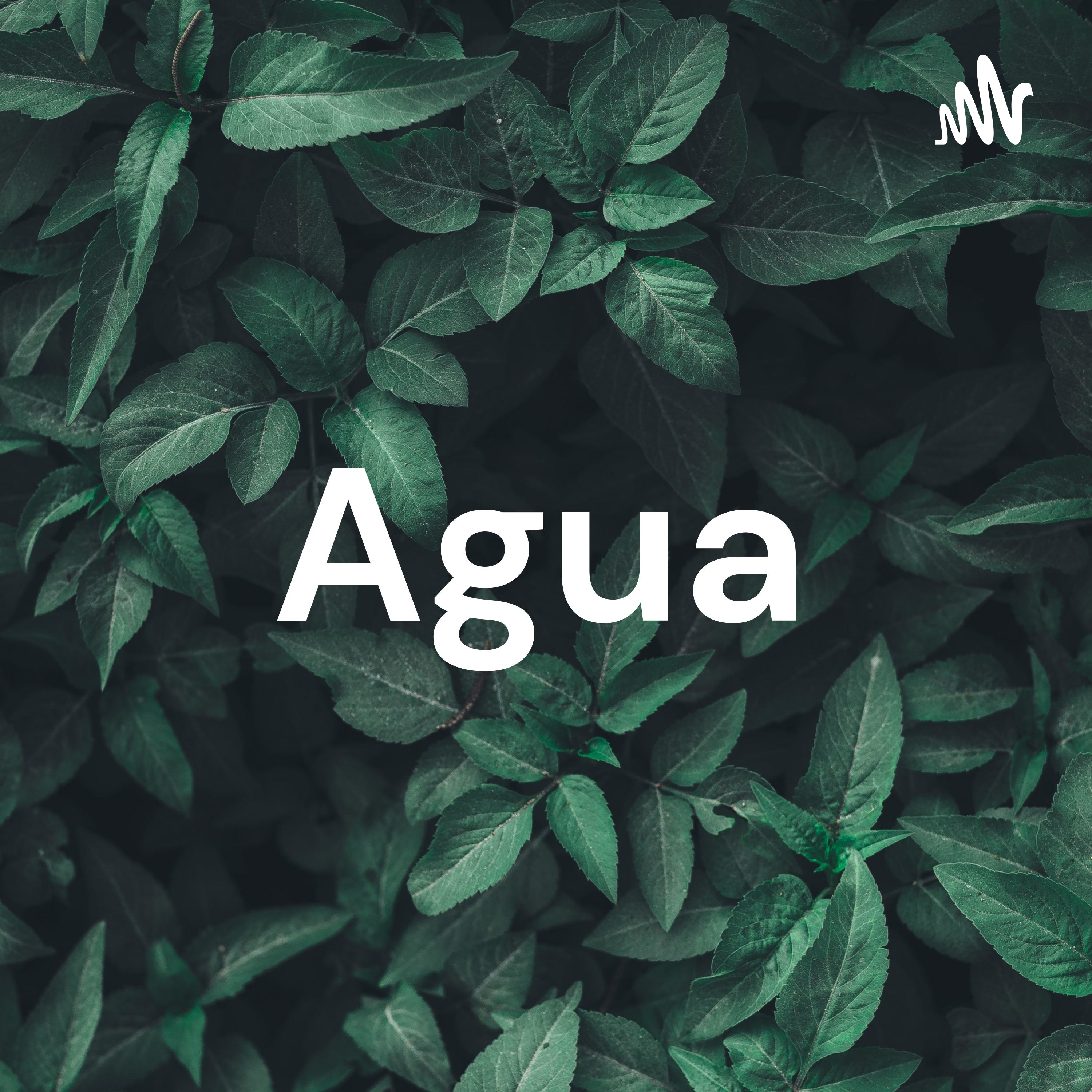 Modelo Biopsicosocial