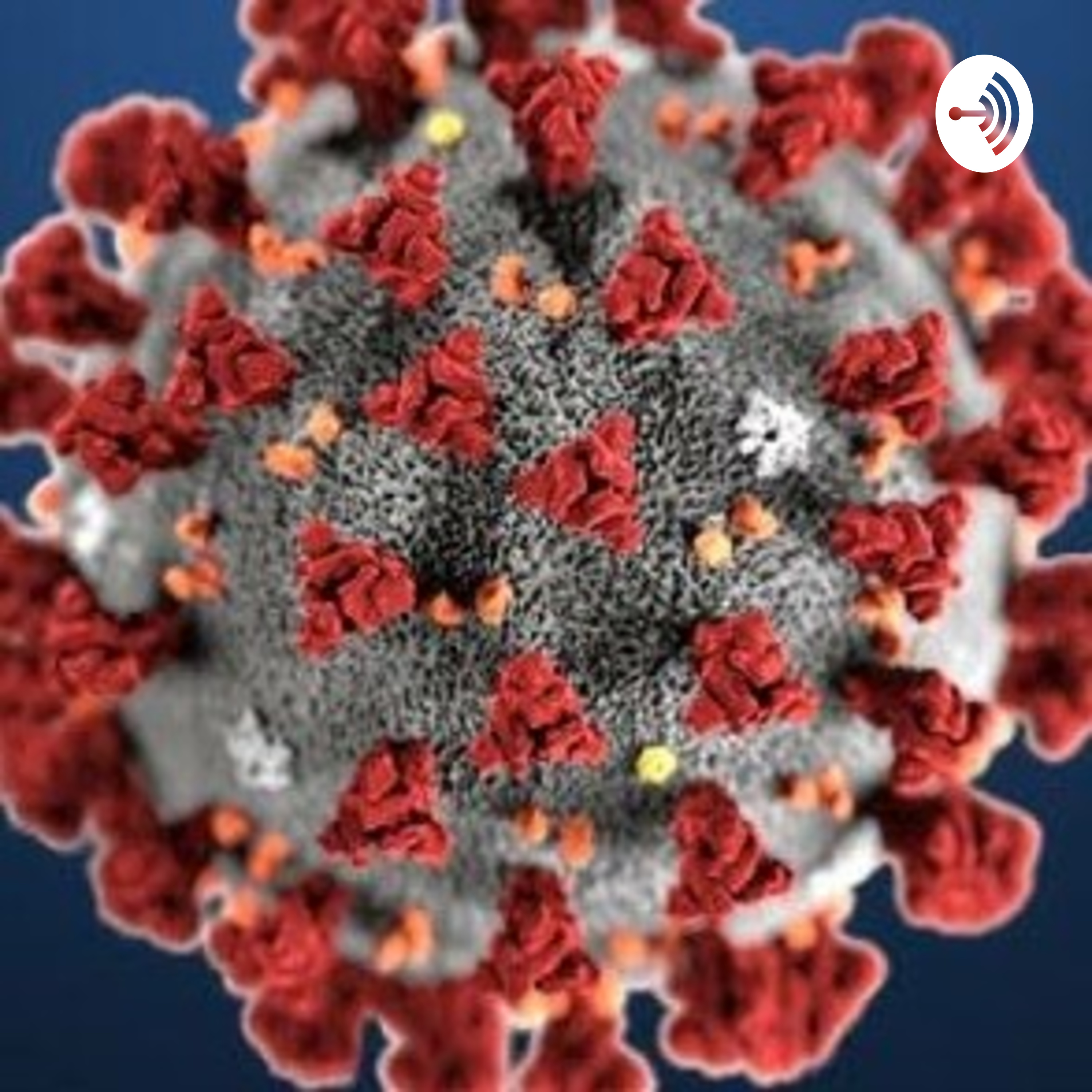 Contagios Por Covid 19 En El Mundo
