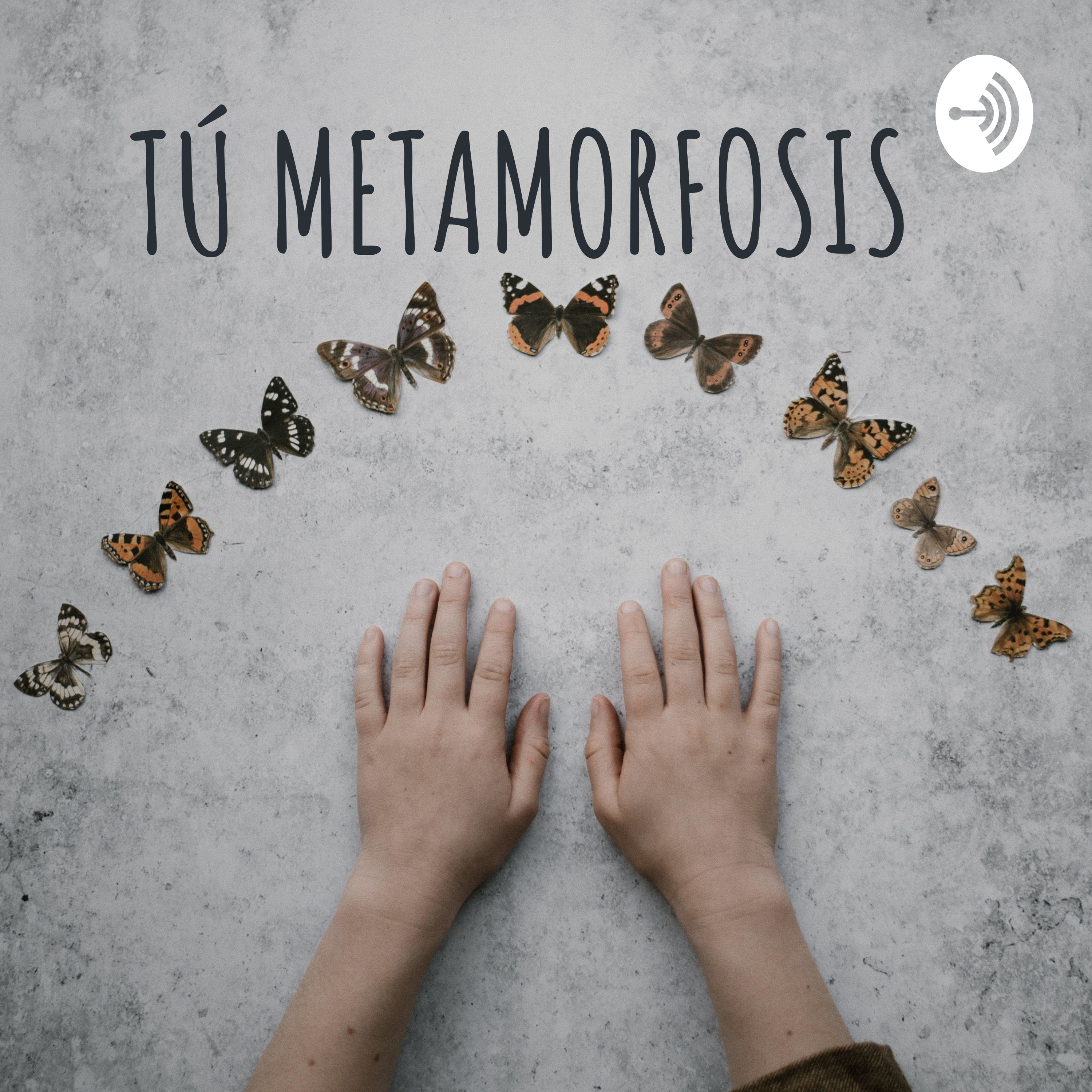 TU METAMORFÓSIS