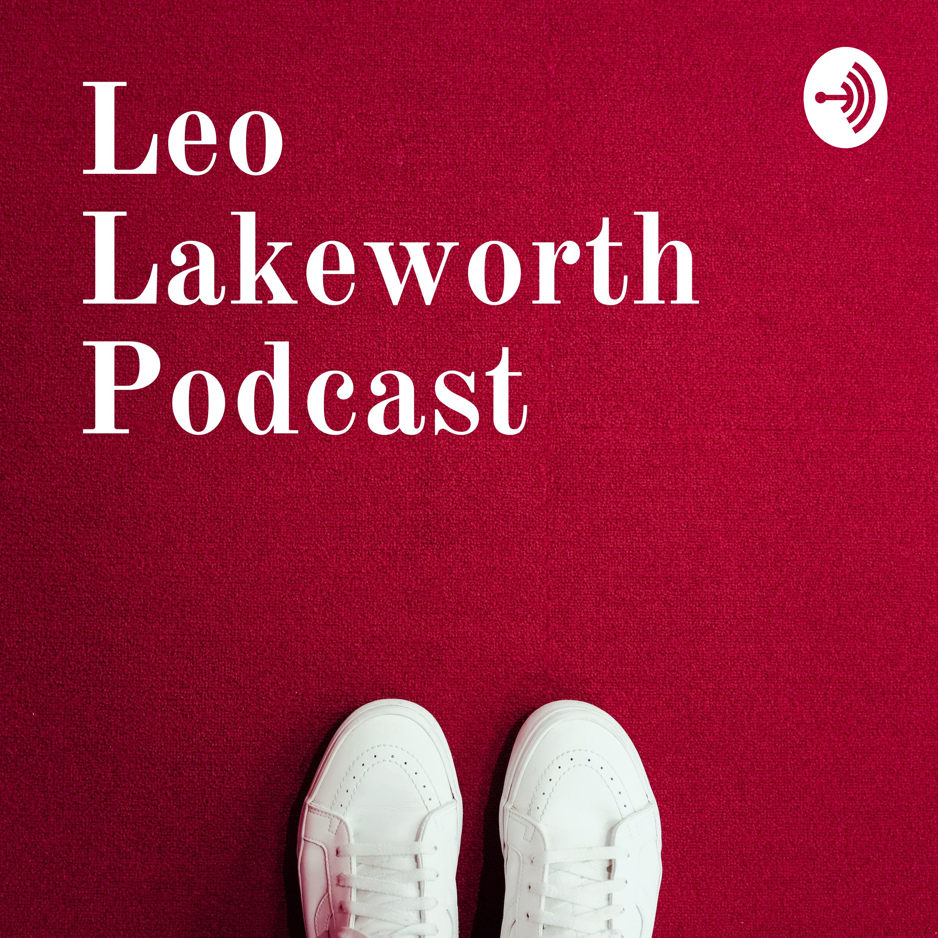 Leo Lakeworth and the Gangsta Garage Door