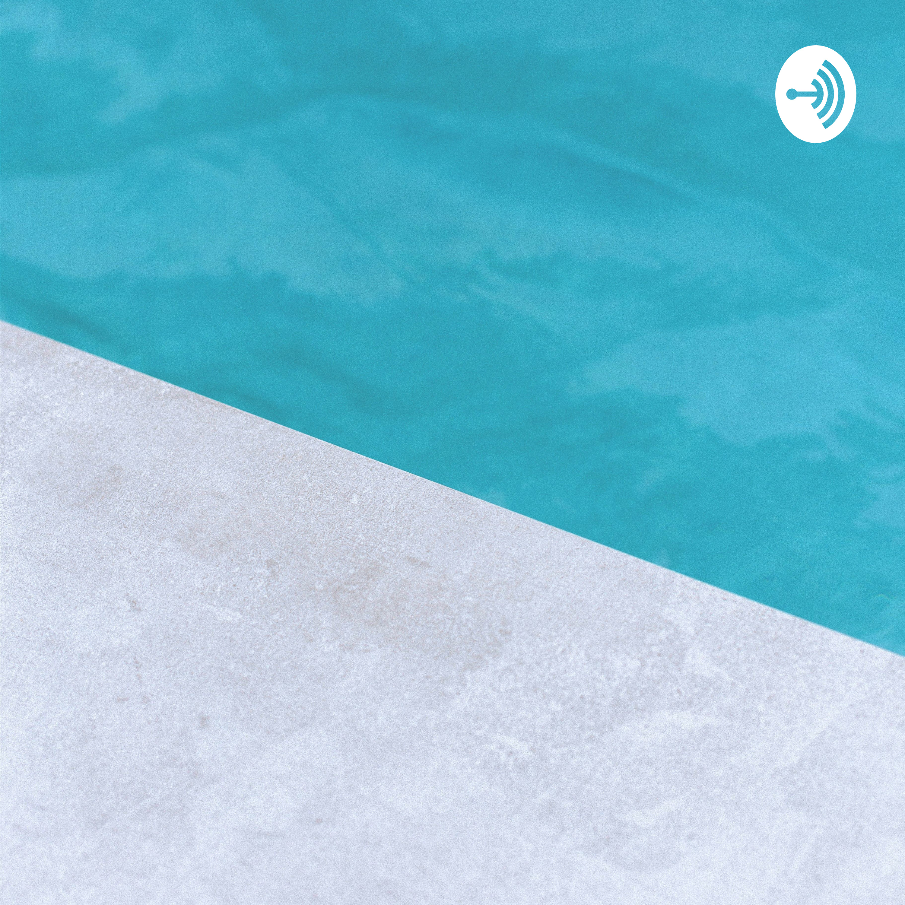 Podcast Snippets