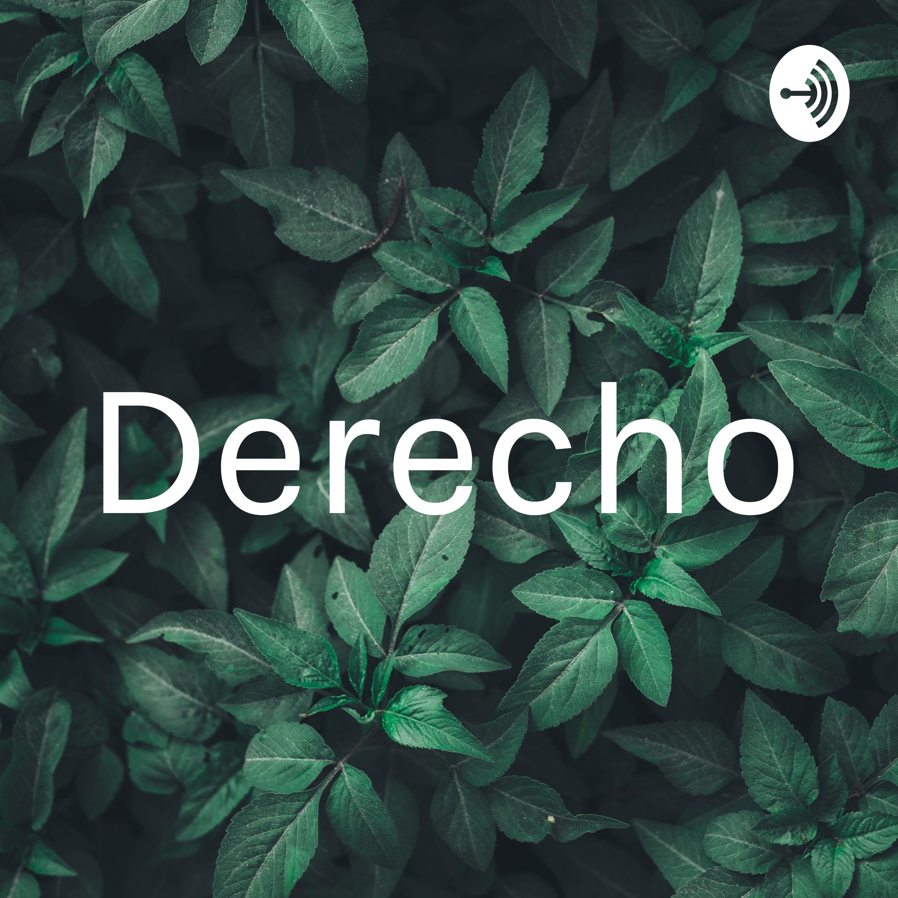 Derecho
