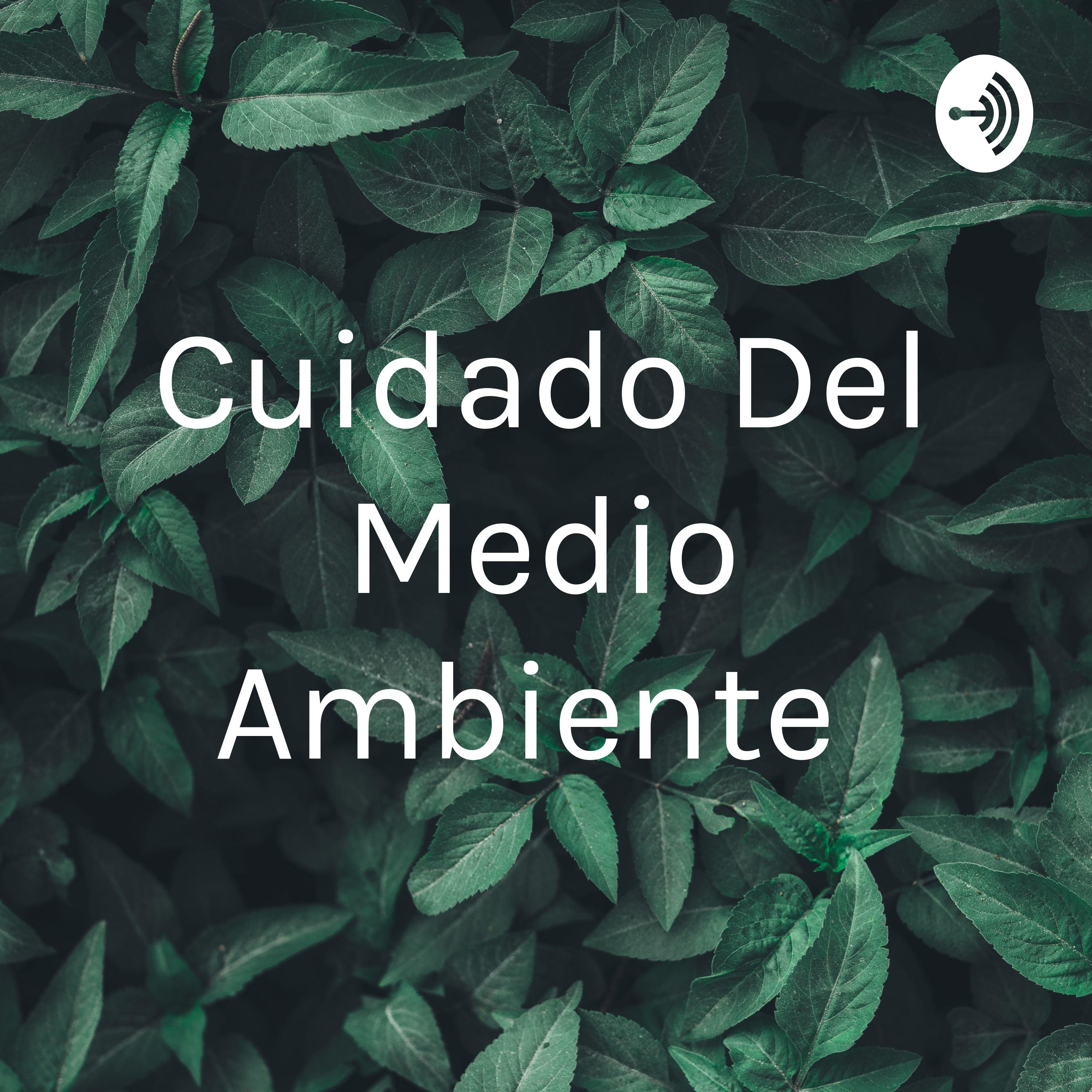 Cuidado del medio ambiente – Cuidado Del Medio Ambiente – Podcast – Podtail