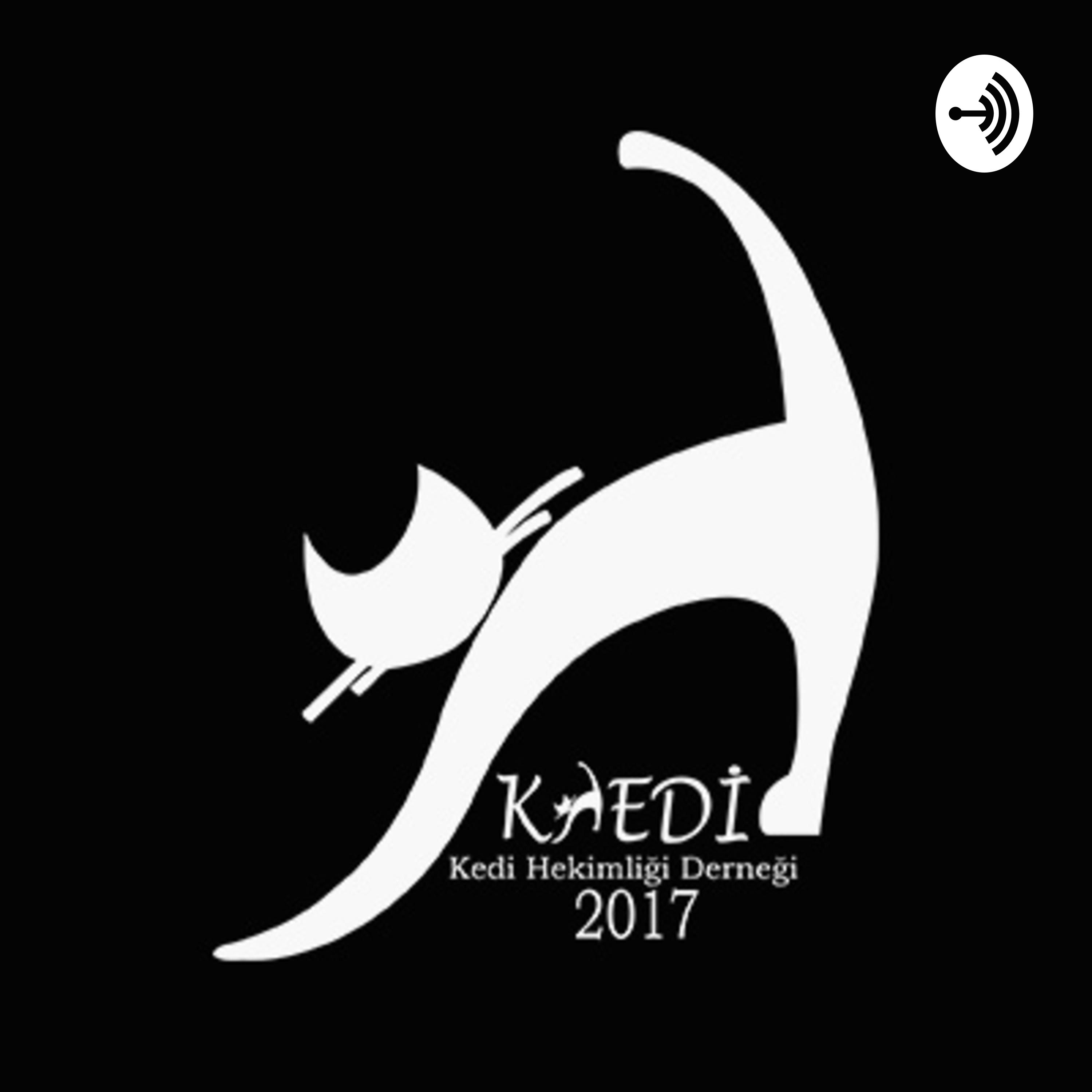Kedi Hekimliği Derneği podcast artwork