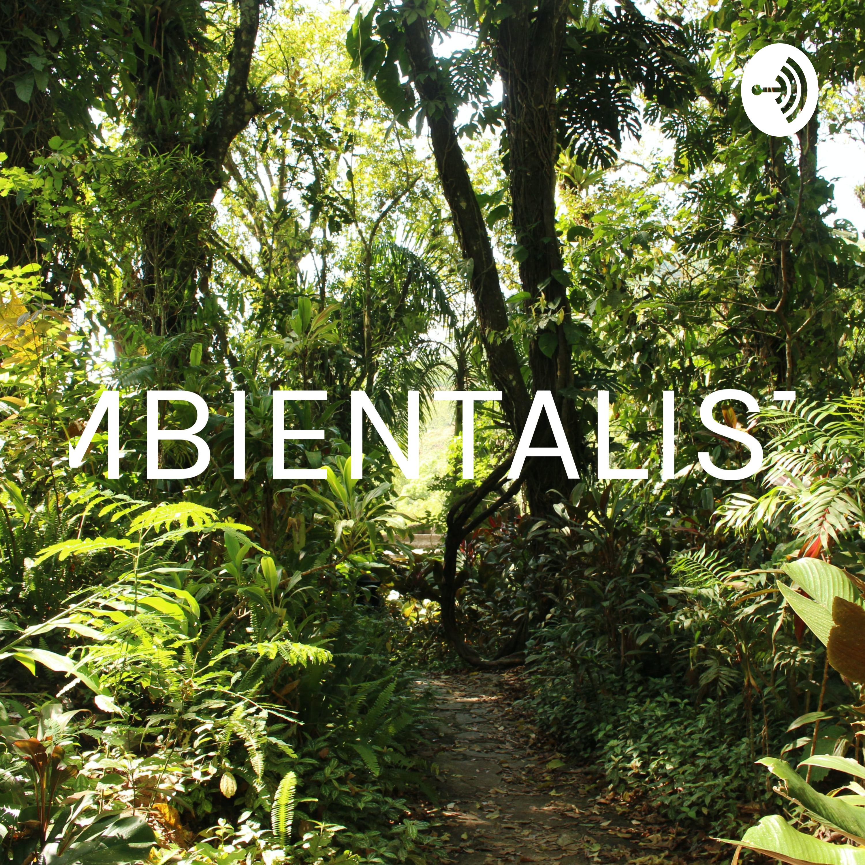 AMBIENTALISTA