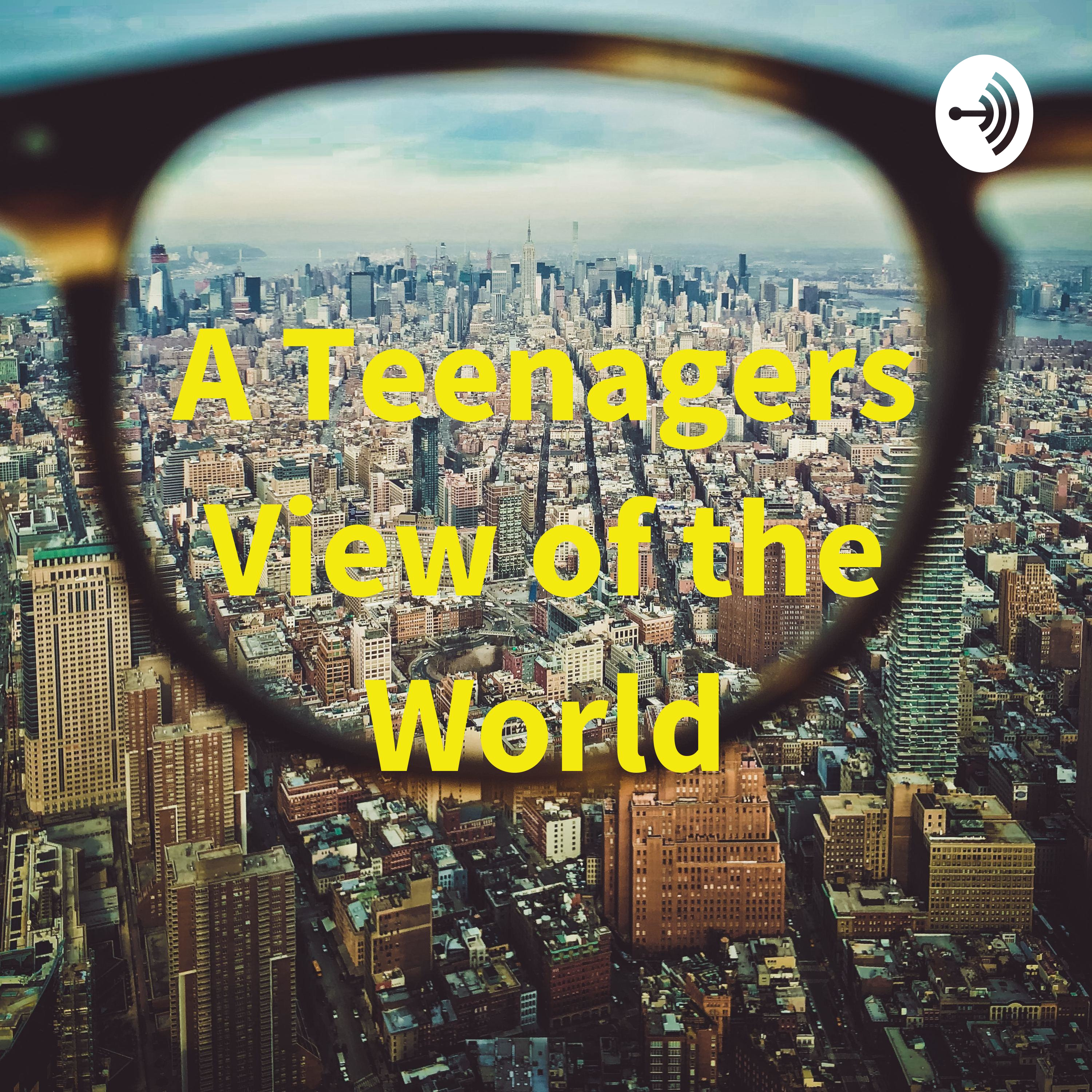 A Teenagers View of the World