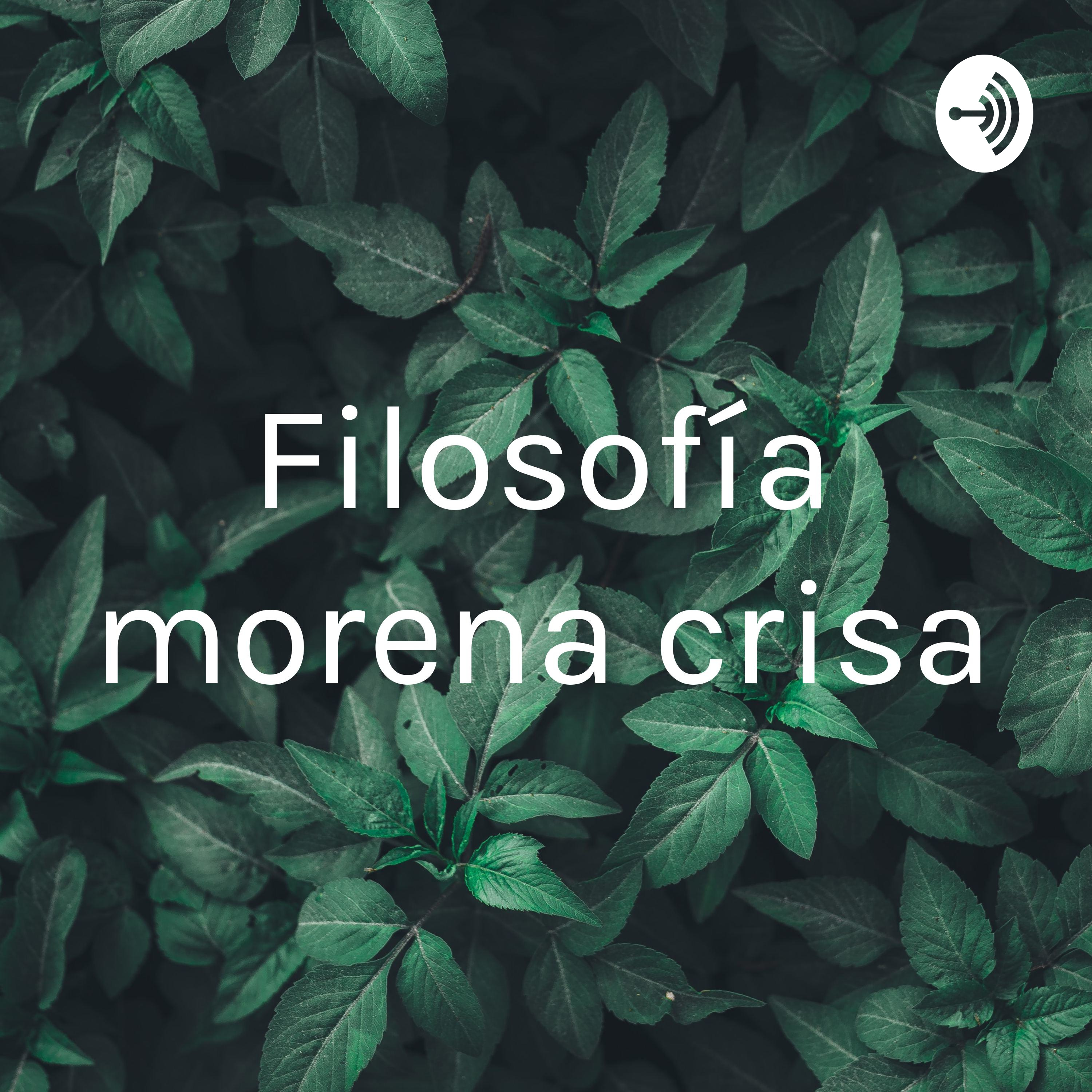 Filosofía morena crisa