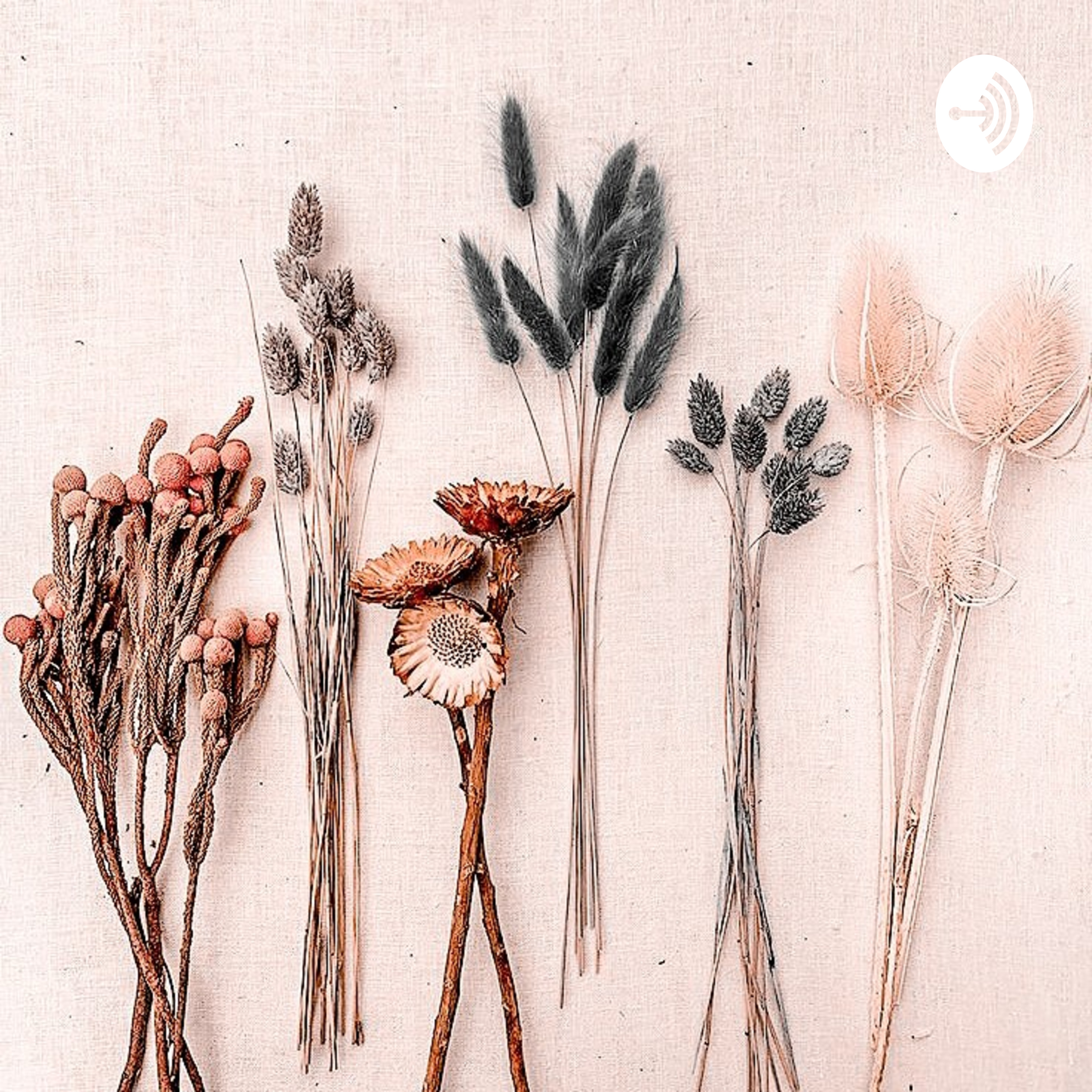 Dearclouds podcast artwork