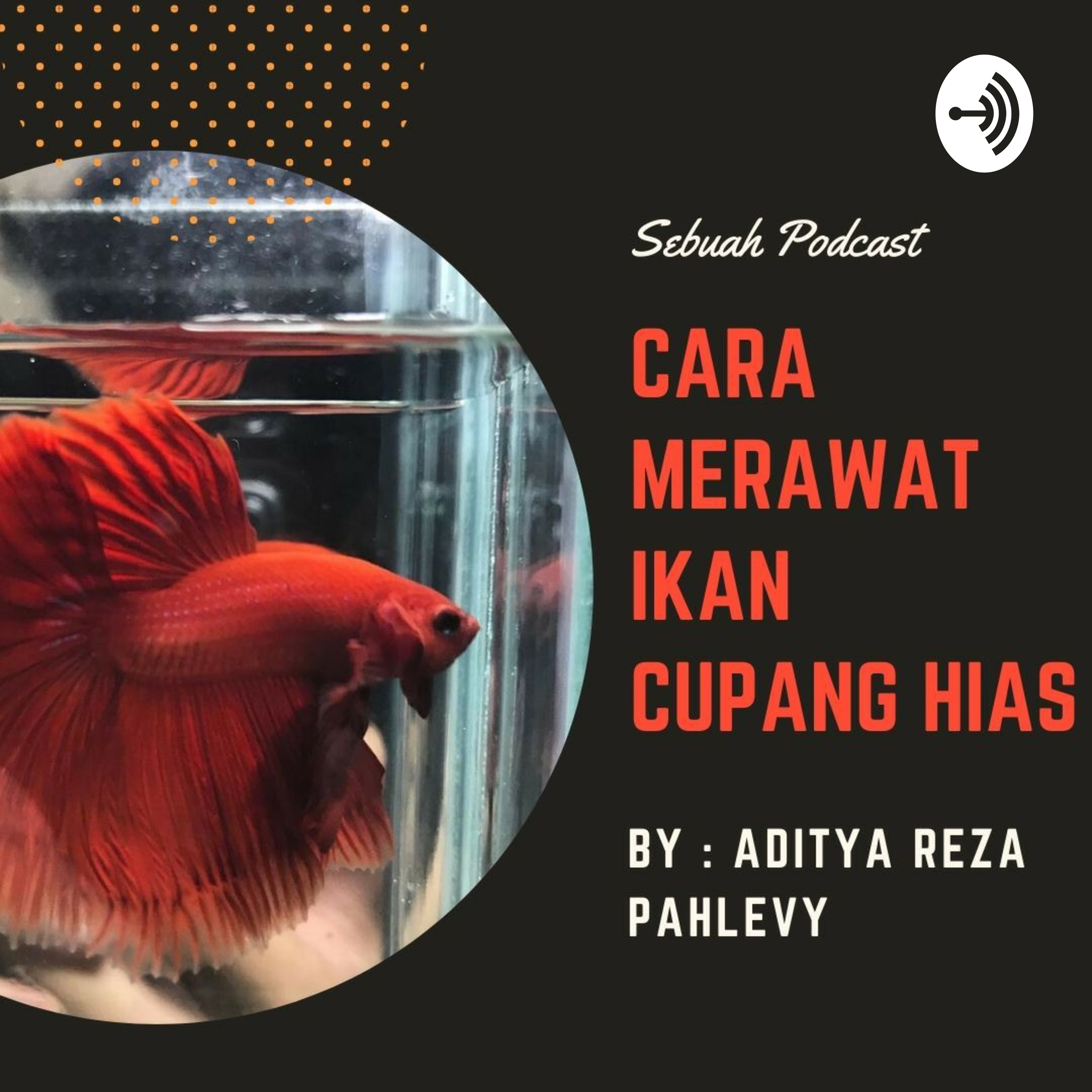 Cara Merawat Ikan Cupang Hias by Adit podcast artwork