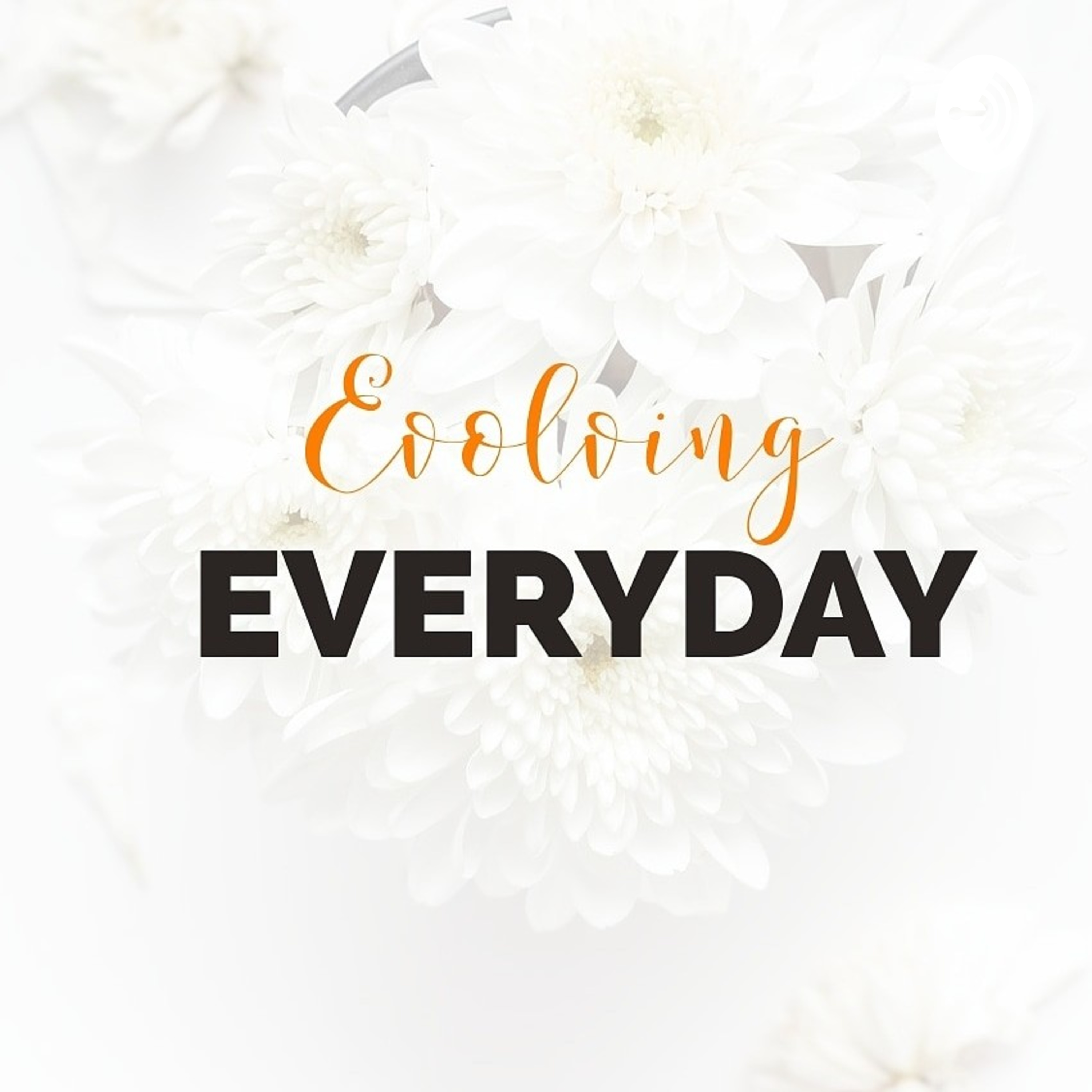 Evolving Everyday