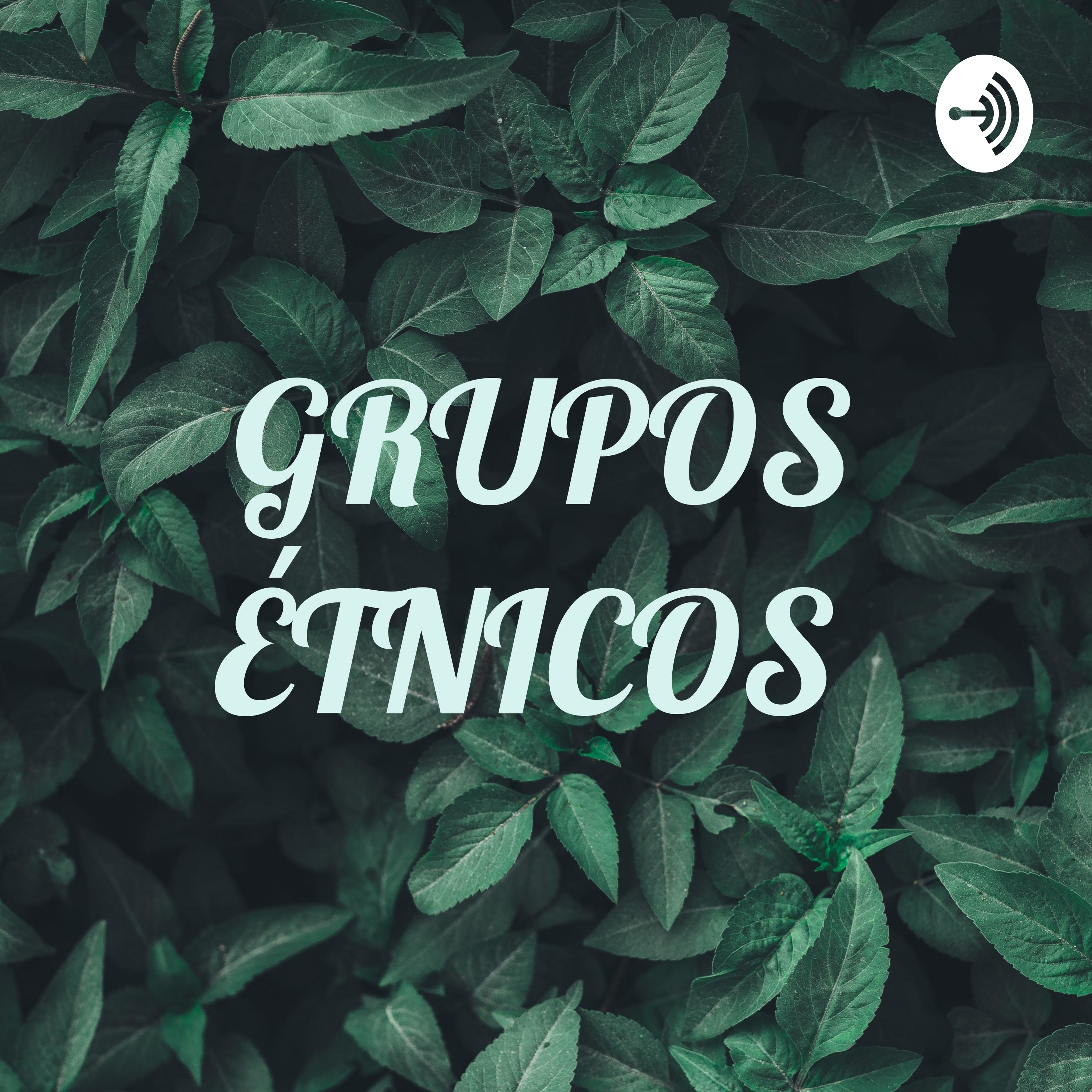 GRUPOS ÉTNICOS