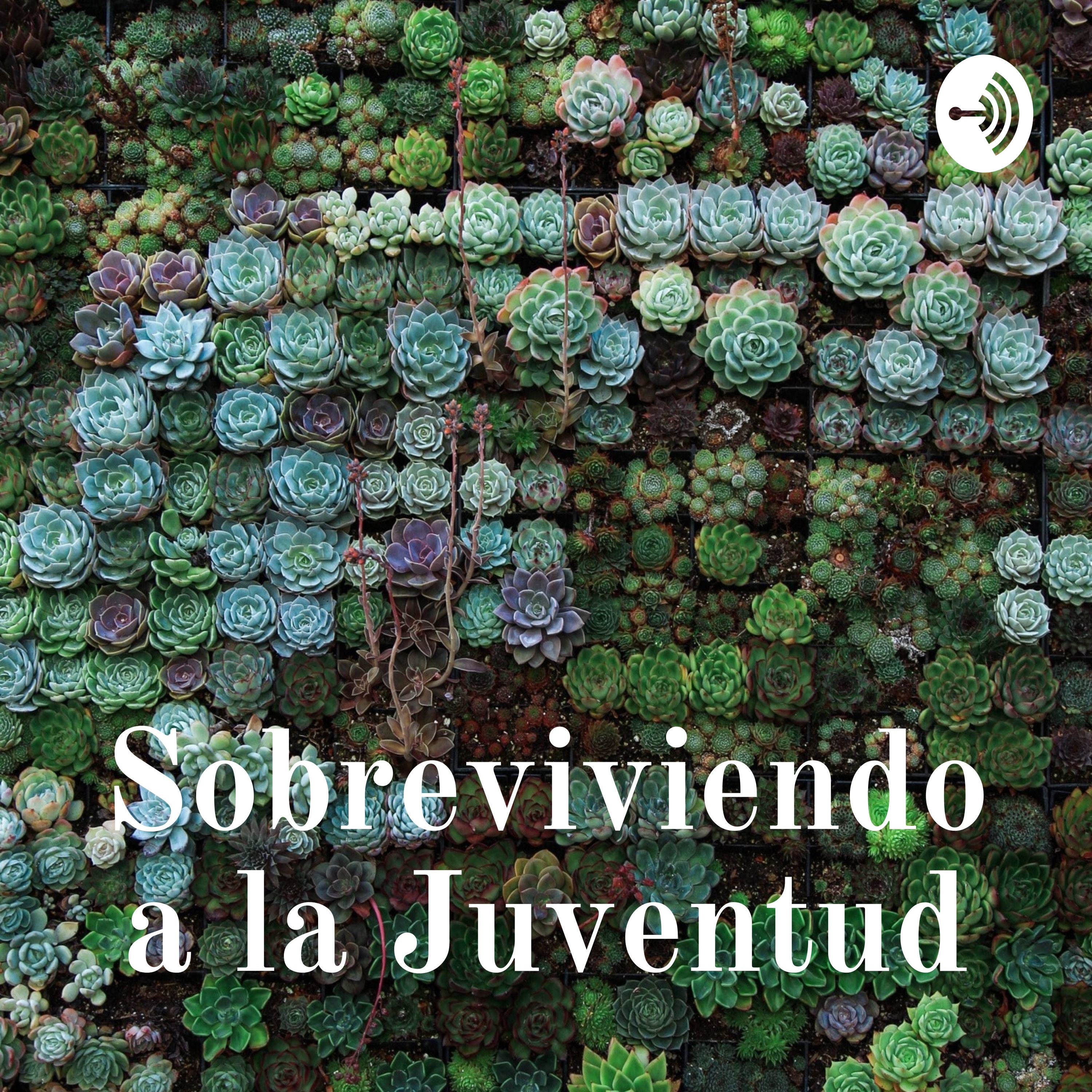 Sobreviviendo a la Juventud
