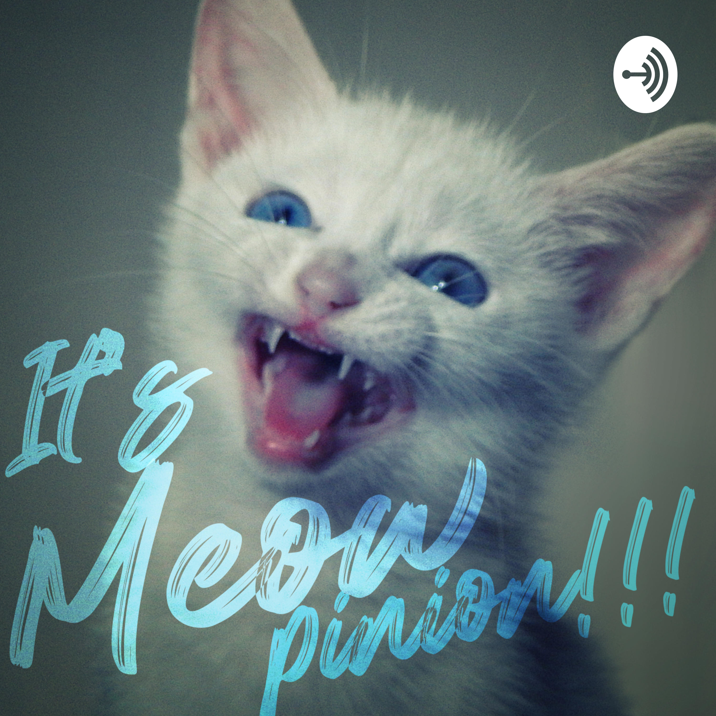 It's Meowpinion!!!