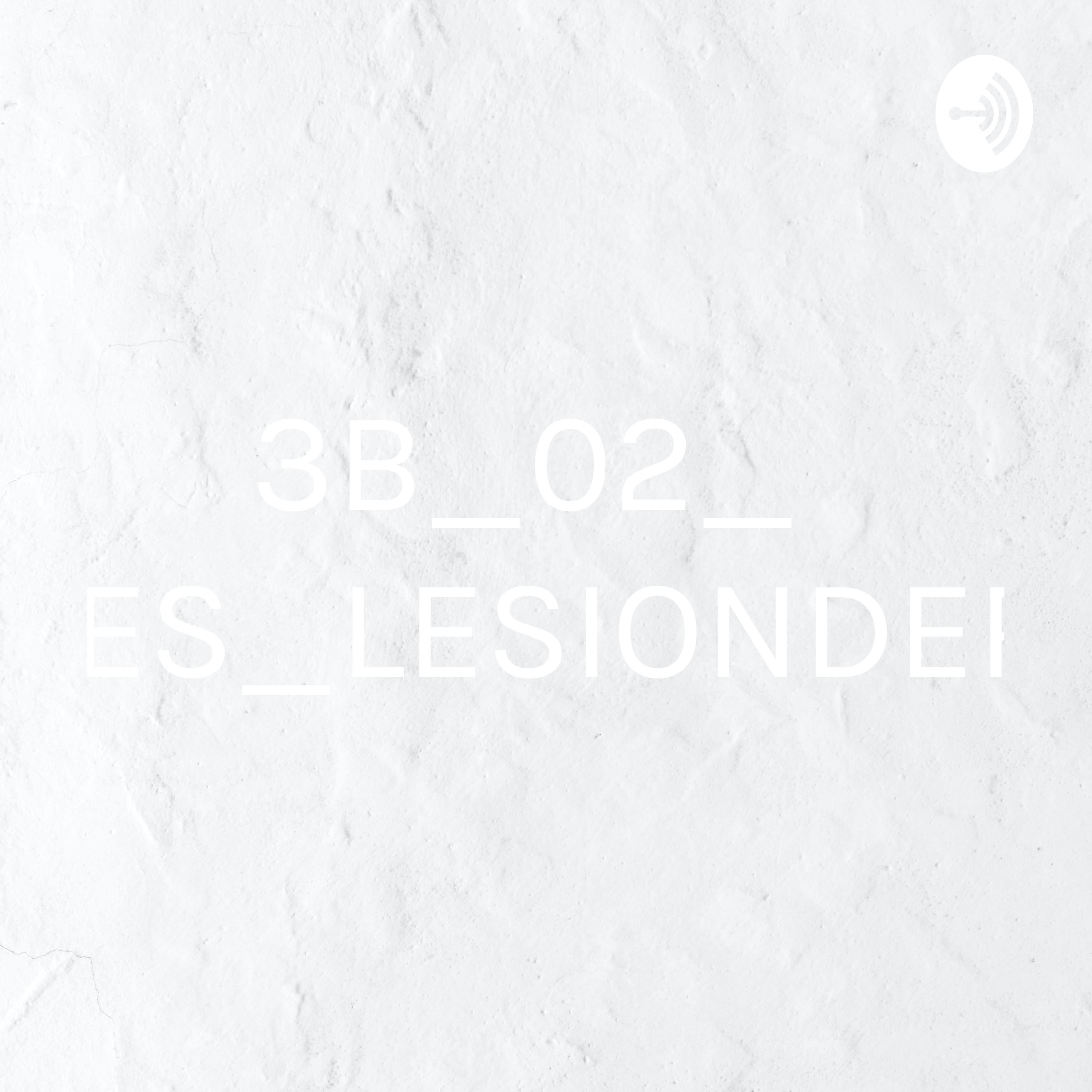 3B_02_ANDRES_LESIONDERUBIO