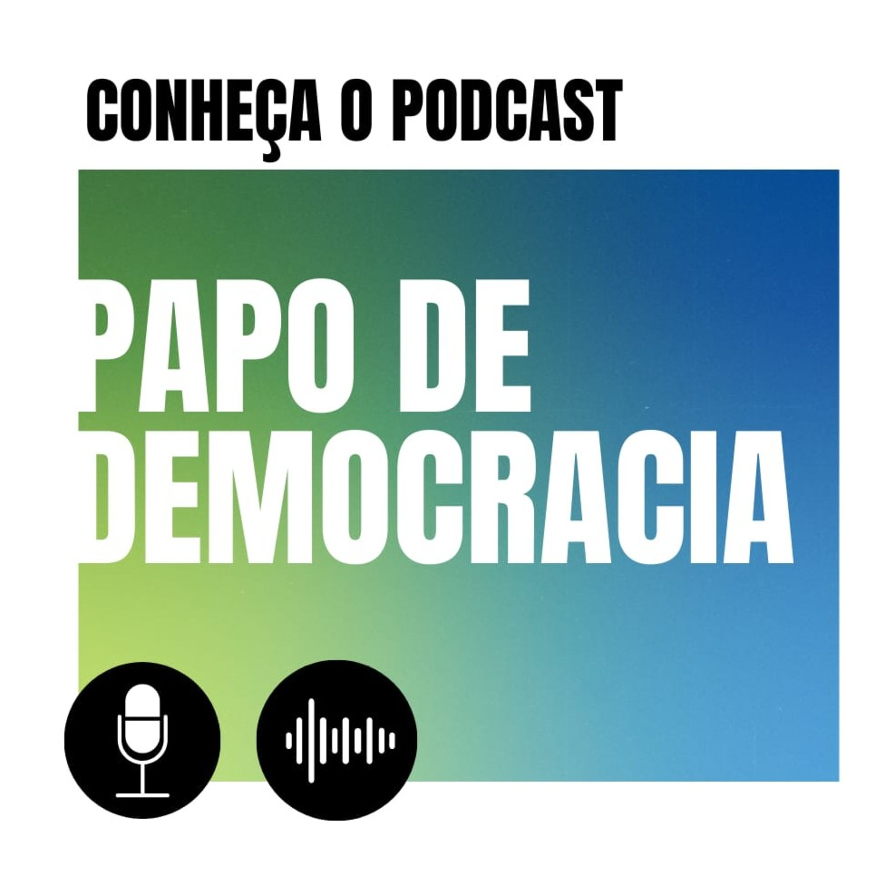 Papo De Democracia