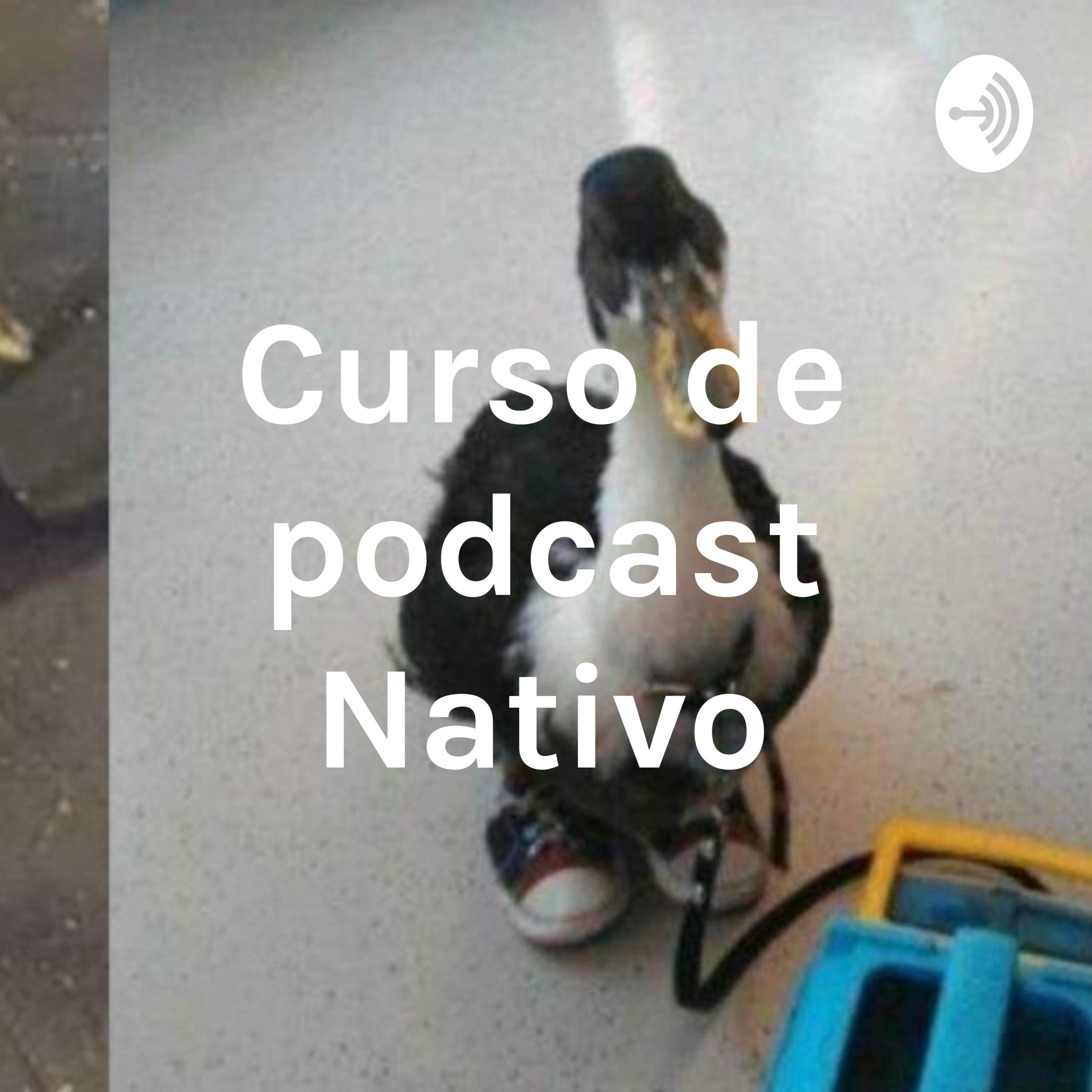 Curso de podcast Nativo cover