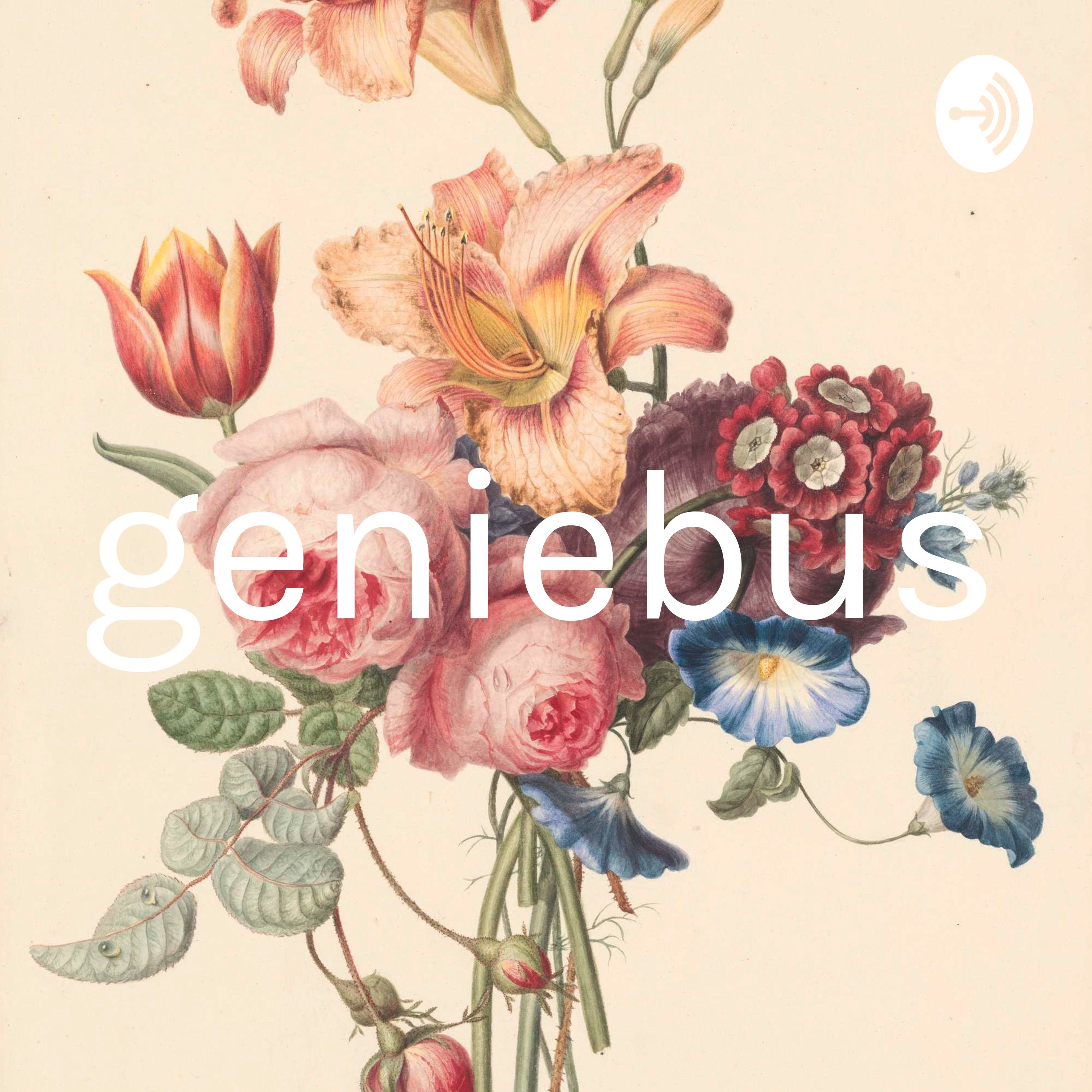 geniebus
