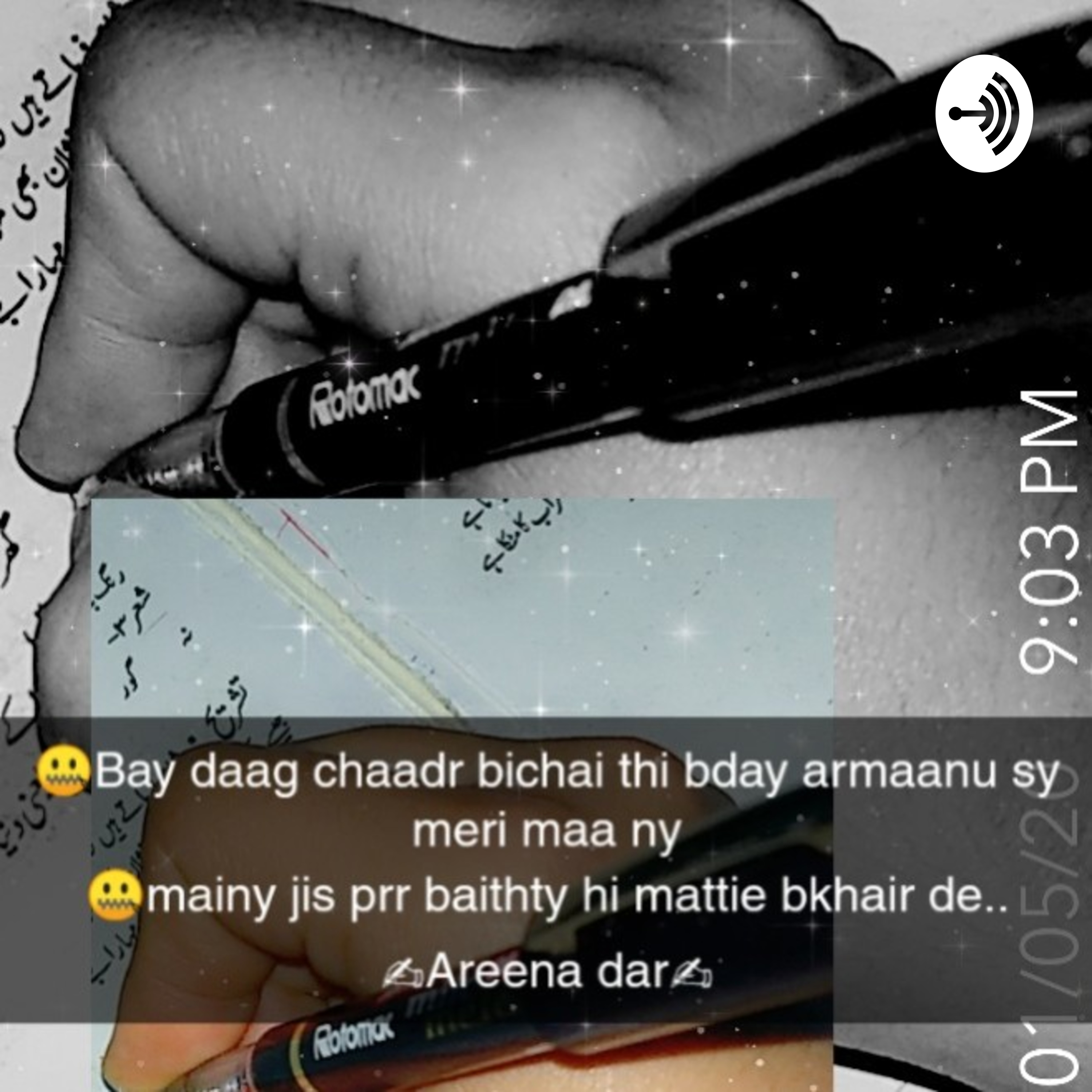 Areena Dar
