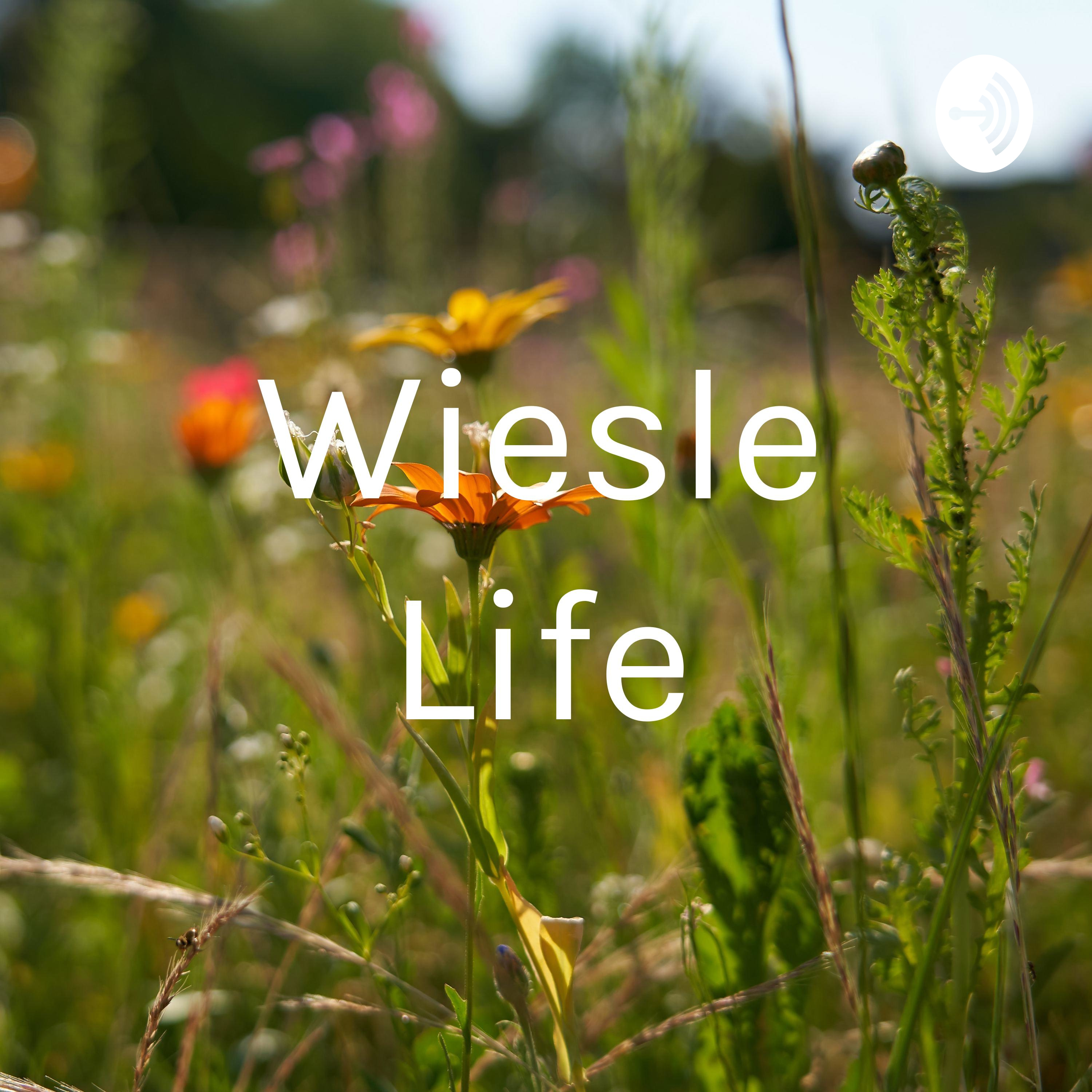 Wiesle Life
