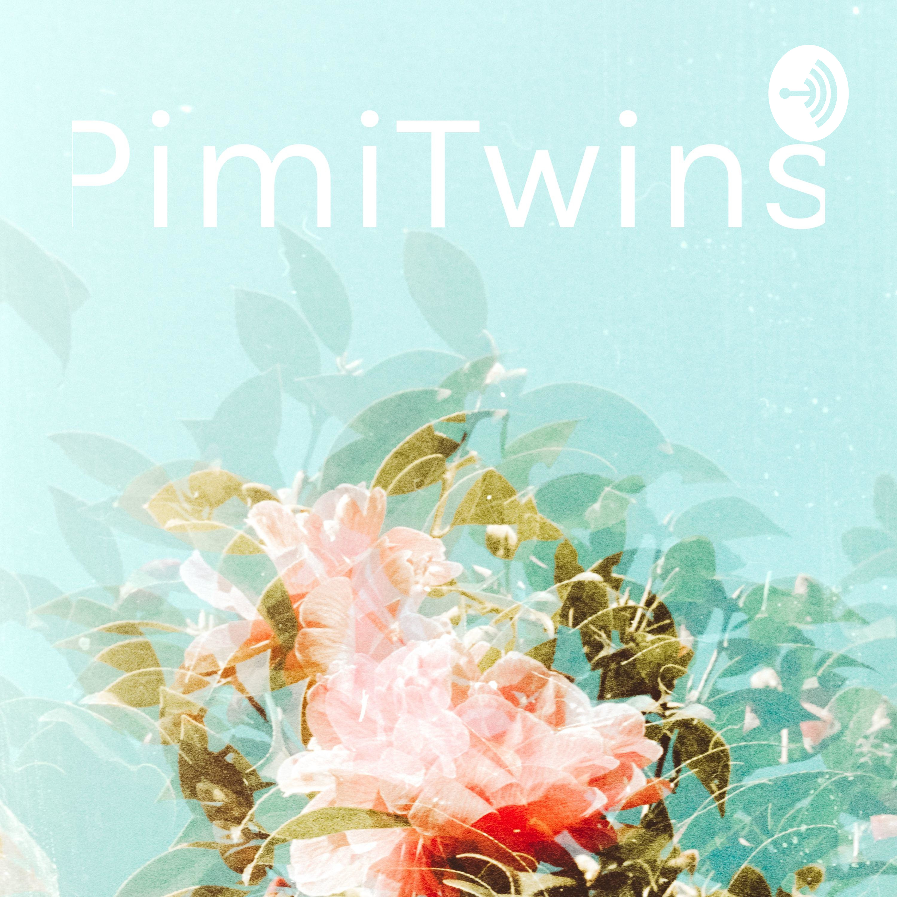 PimiTwins