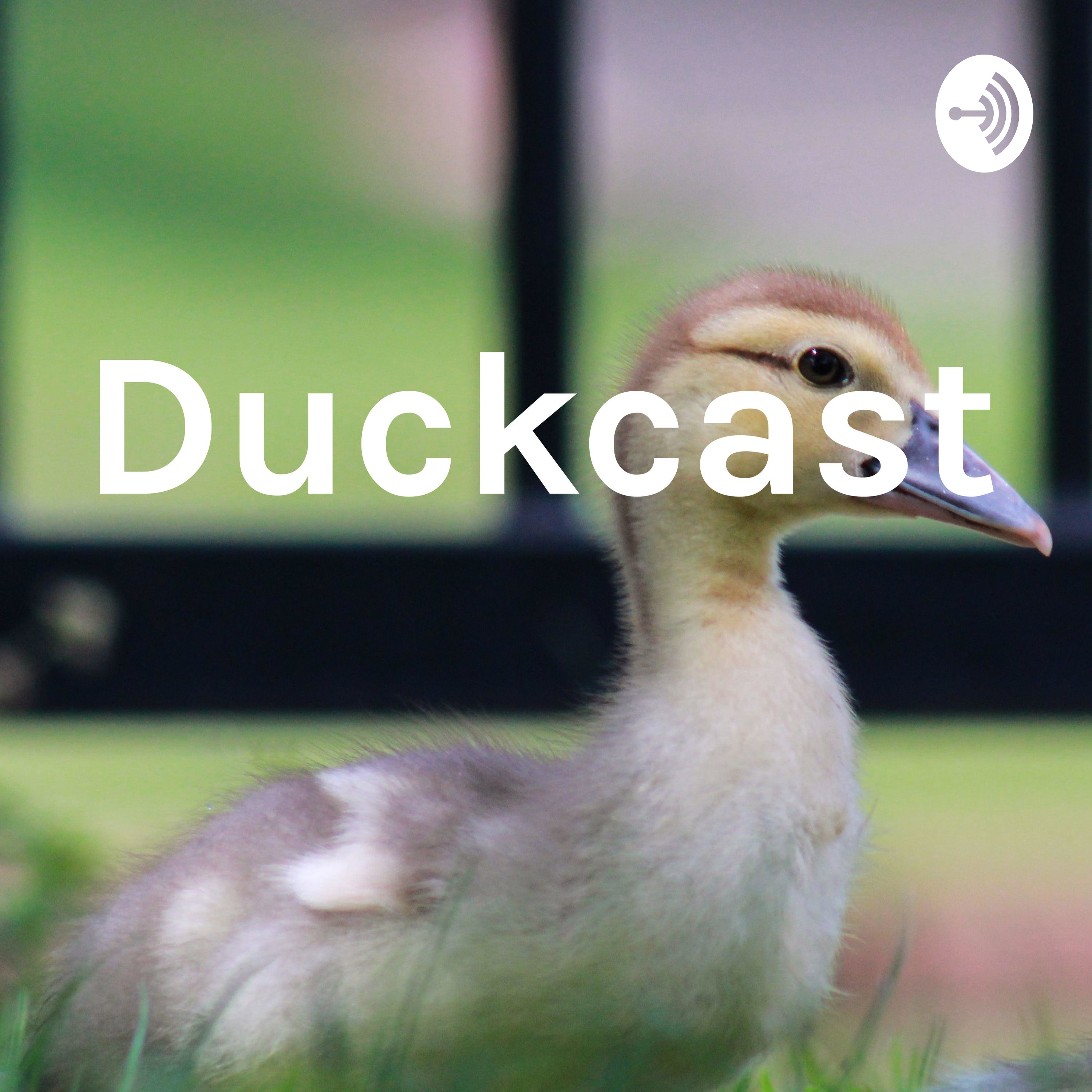 Duckcast 